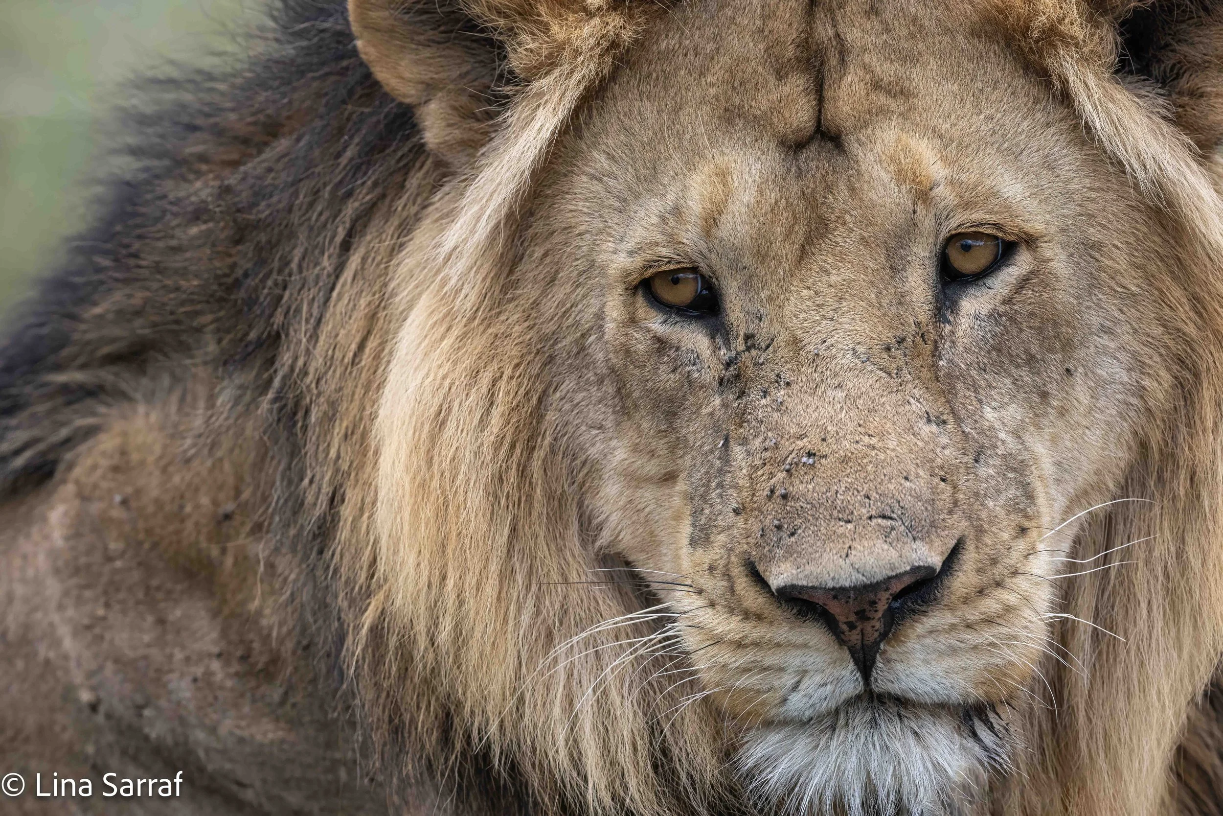  wildlife-63.jpg