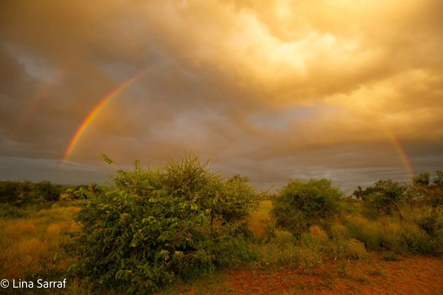  AfricaDSC_50271529.jpg