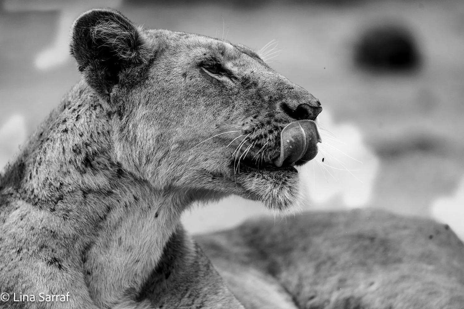  Africa Z9D_980018.jpg