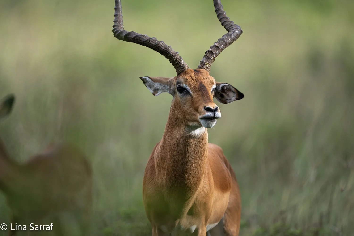  Africa Z9D_9745291.jpg