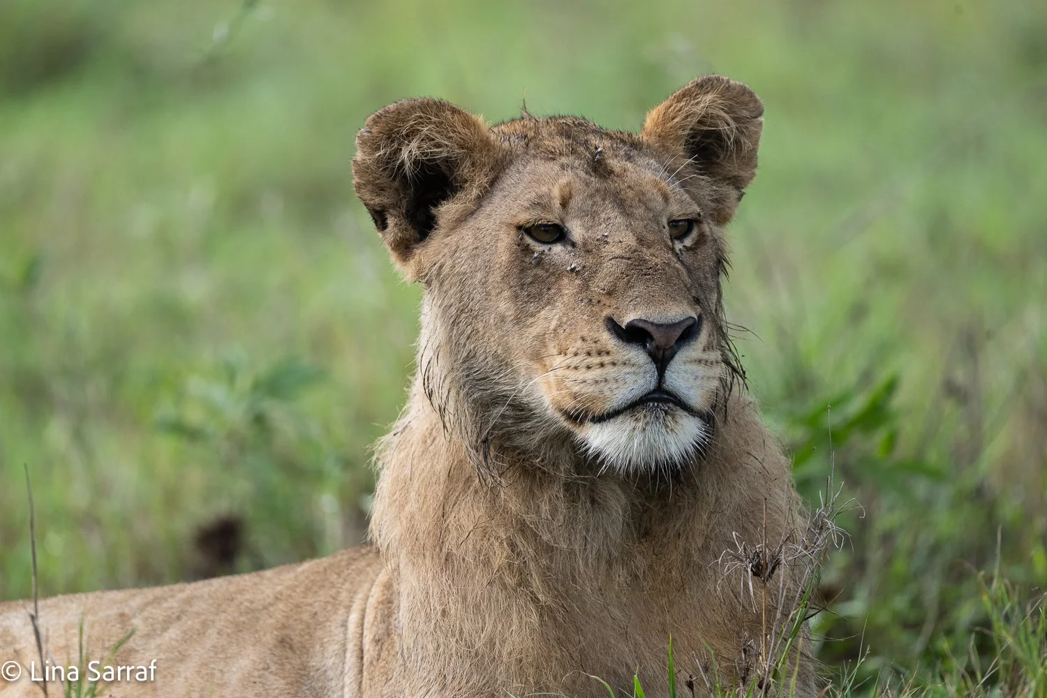  Africa Z9D_6099529.jpg