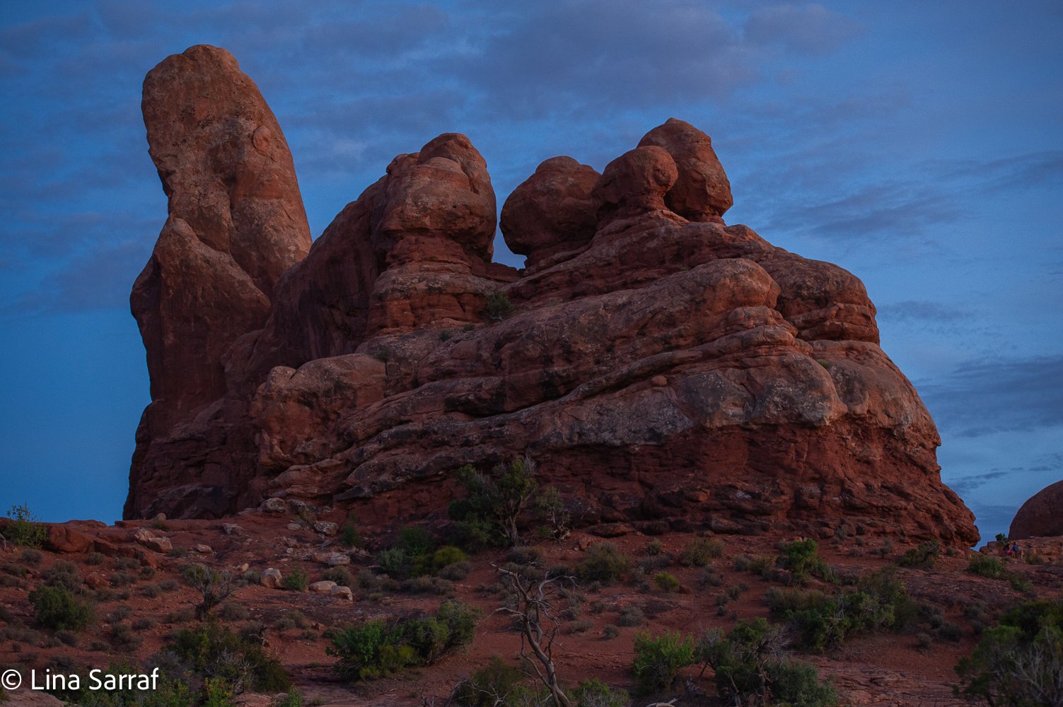  NP.DSC_1502272.jpg