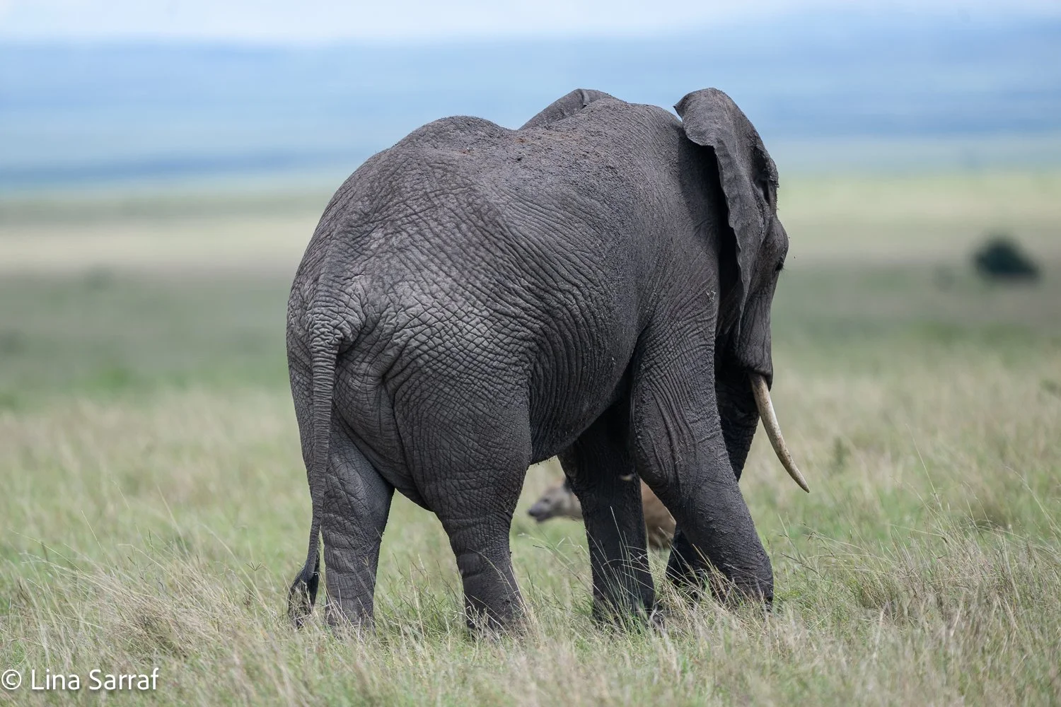  Africa Z9D_2074715.jpg