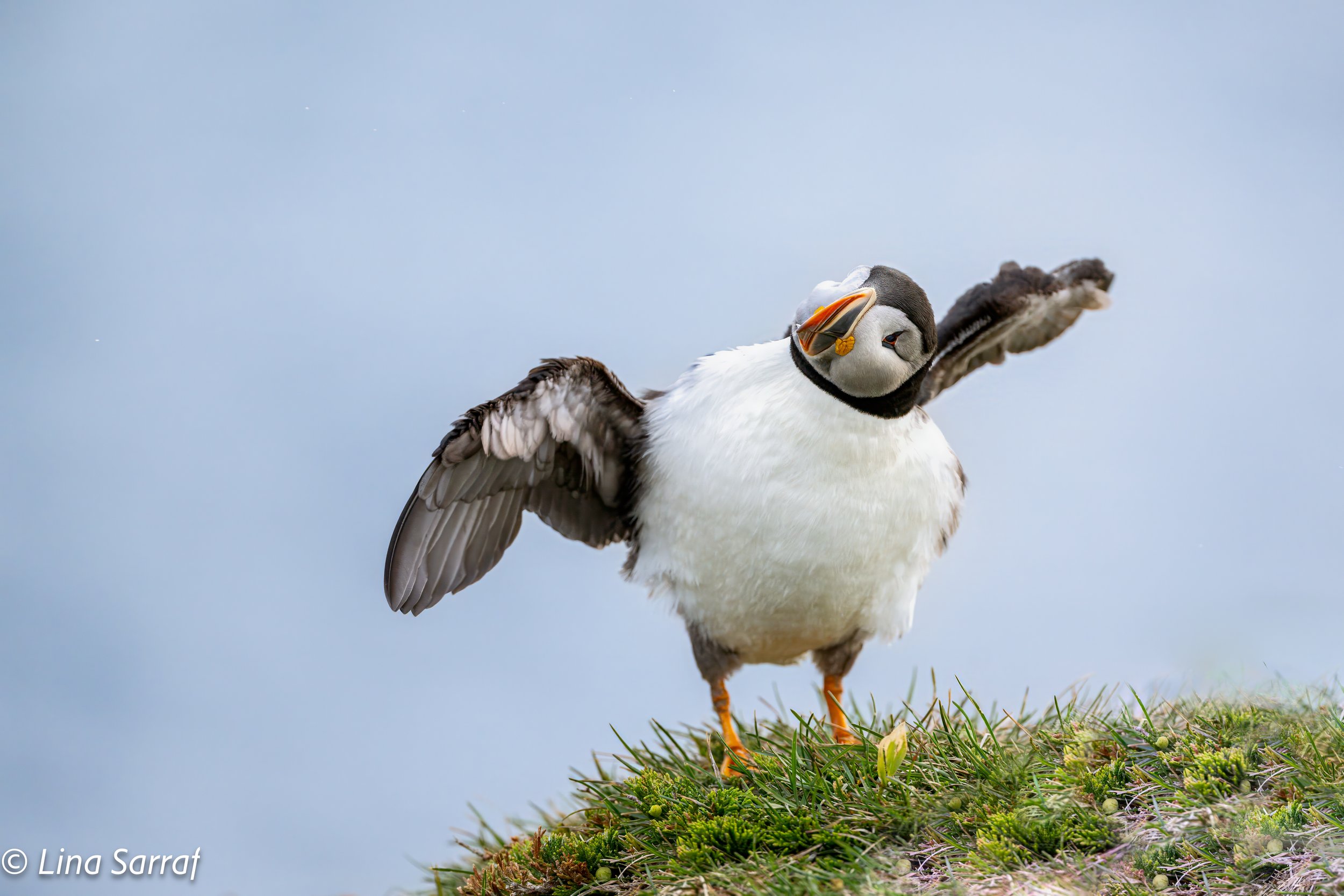  wildlife-30.jpg