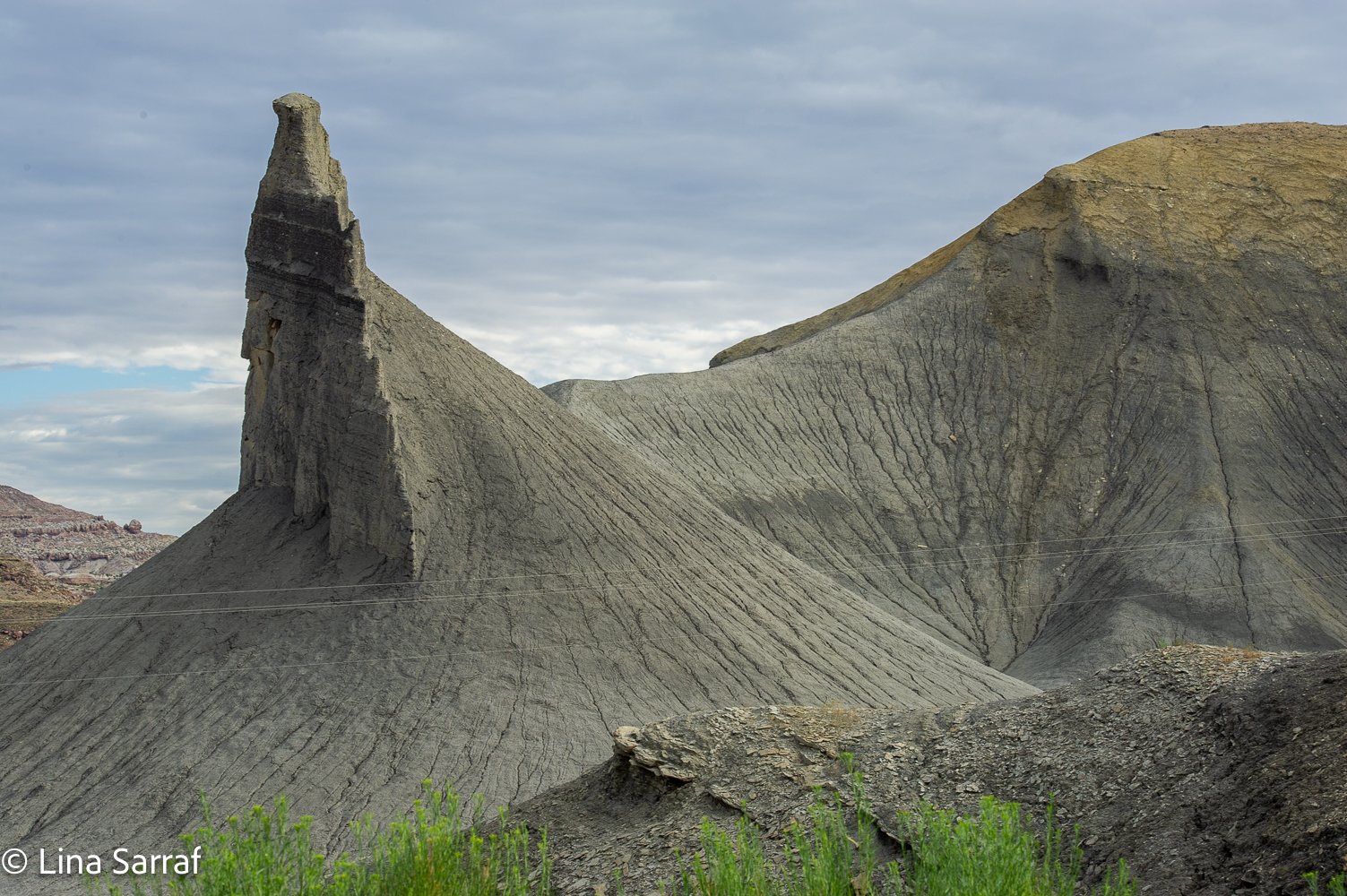  NP.DSC_90611.jpg