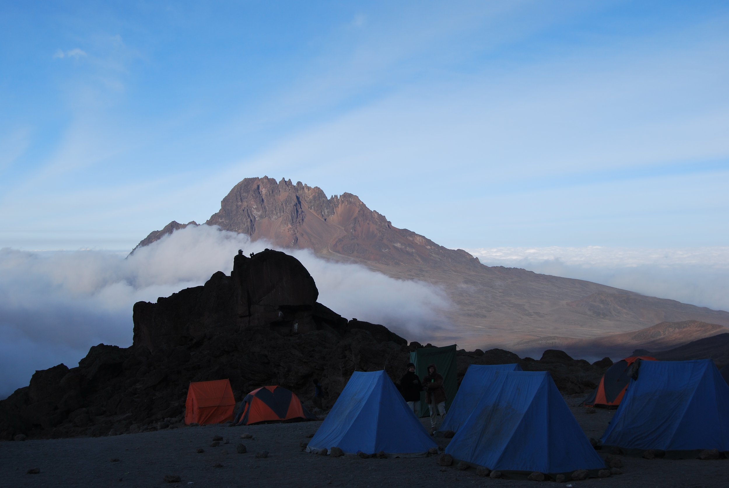 DSC_0260 1 2.JPG
