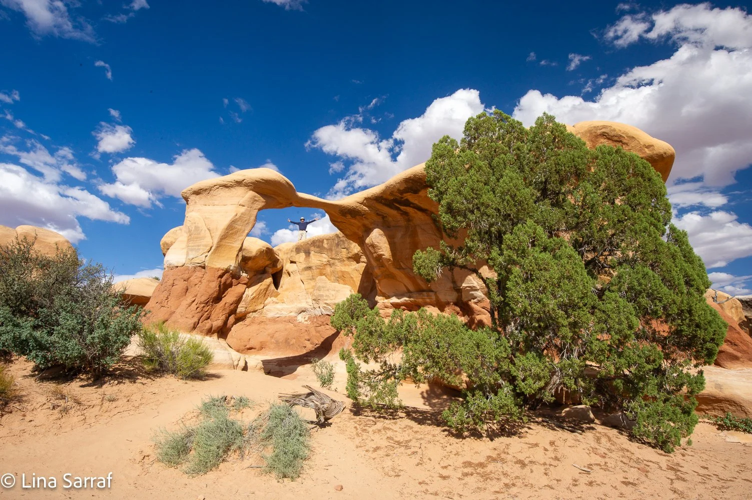 US National Parks