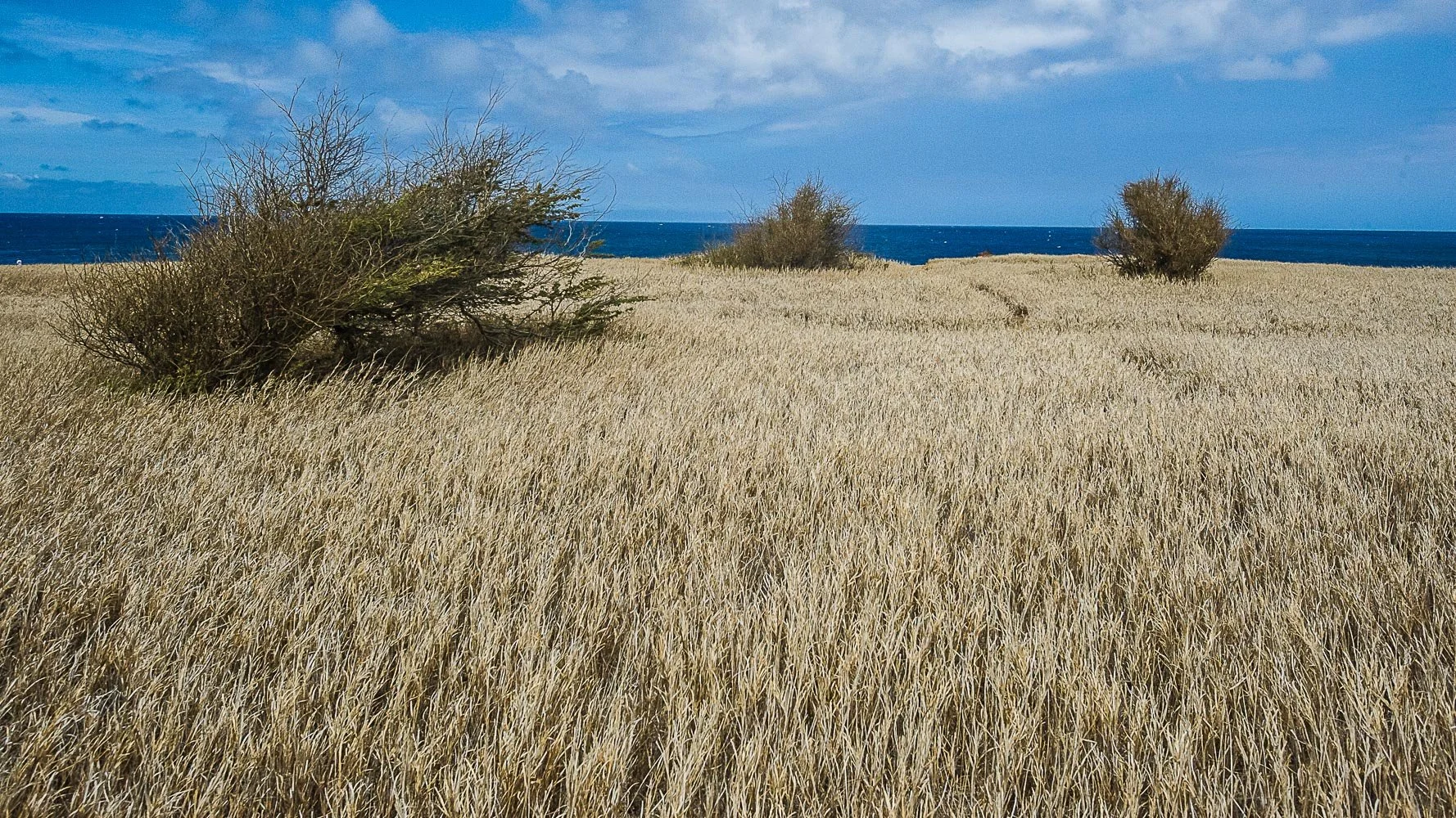  Hawaii-19.jpg