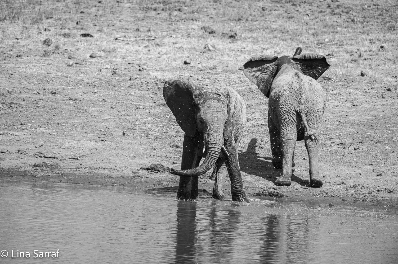  AfricaDSC_062711.jpg