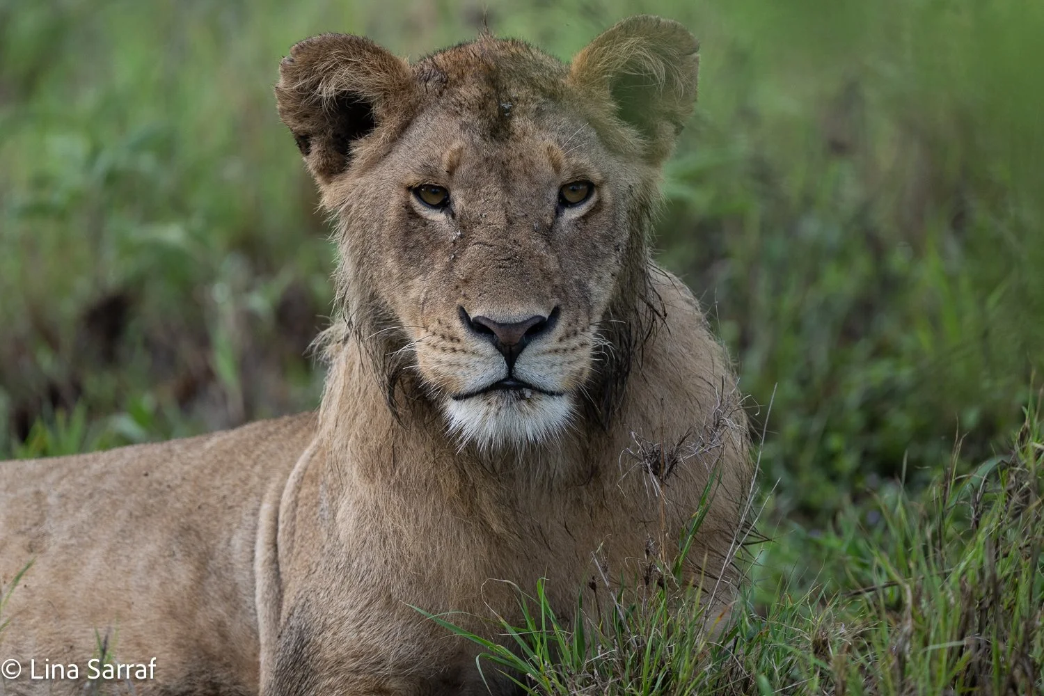  Africa Z9D_5914347.jpg