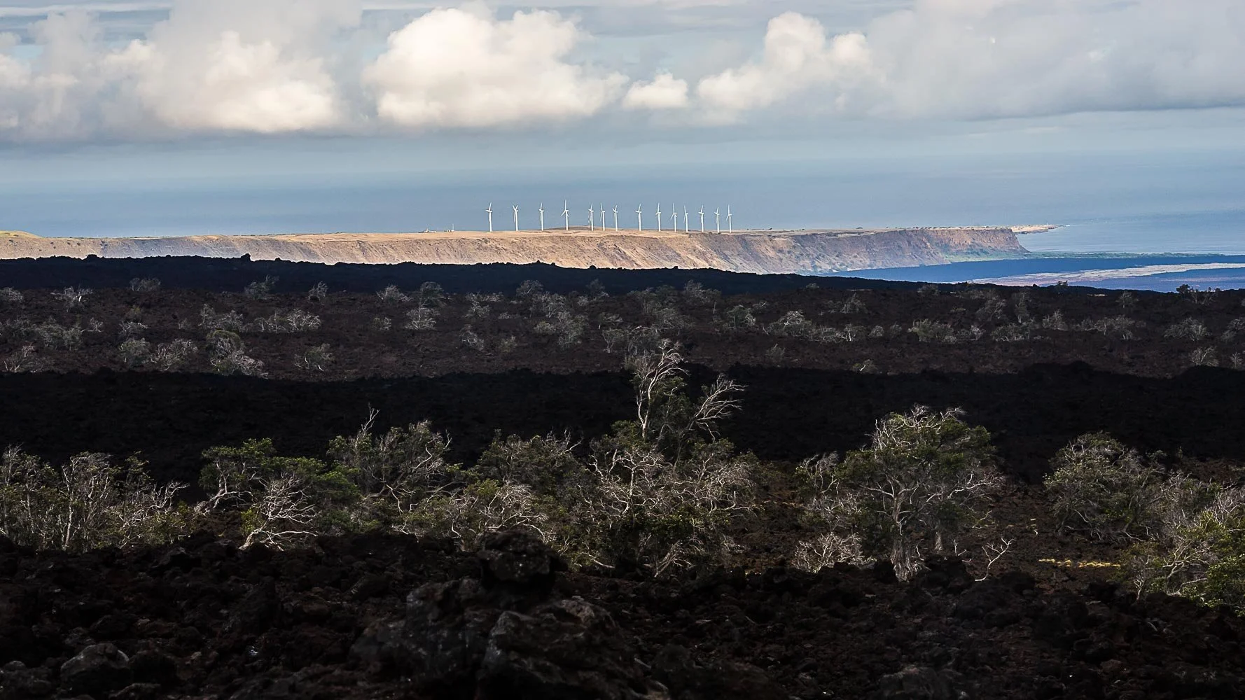  Hawaii-13.jpg