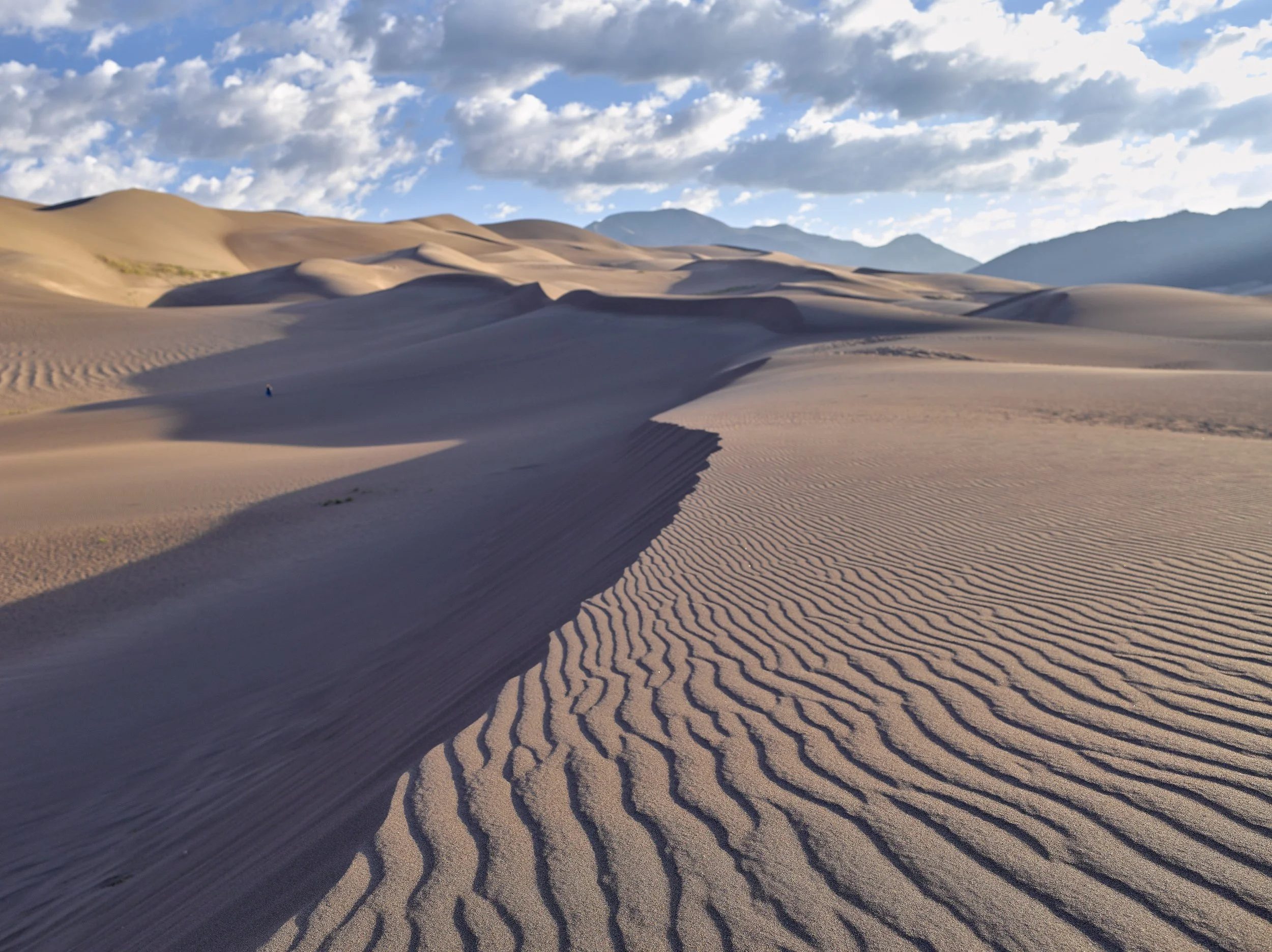 paysage 49.jpg