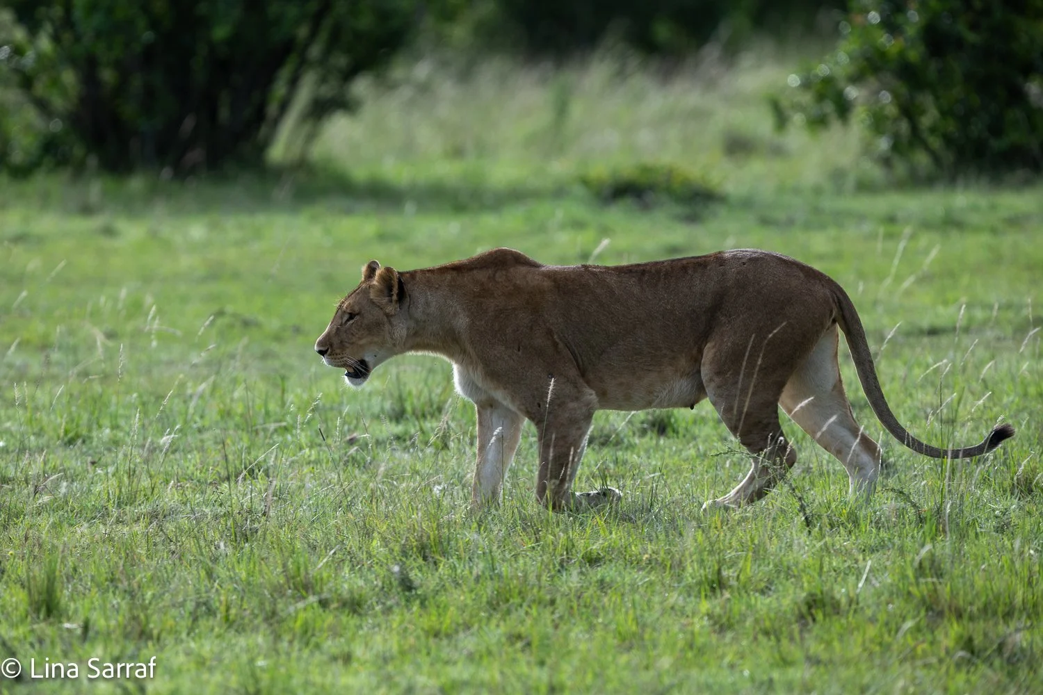  Africa Z9D_0995703.jpg