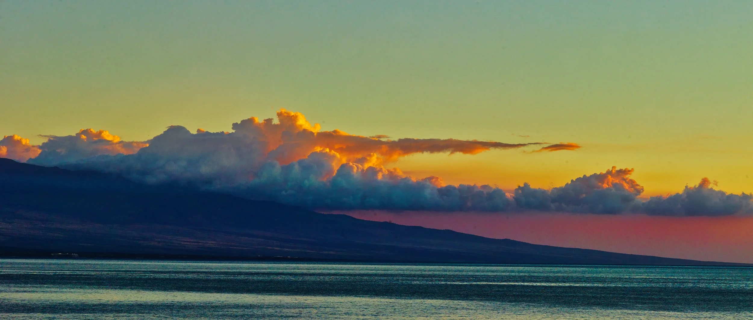 Mamiya Hawaii 431.jpg