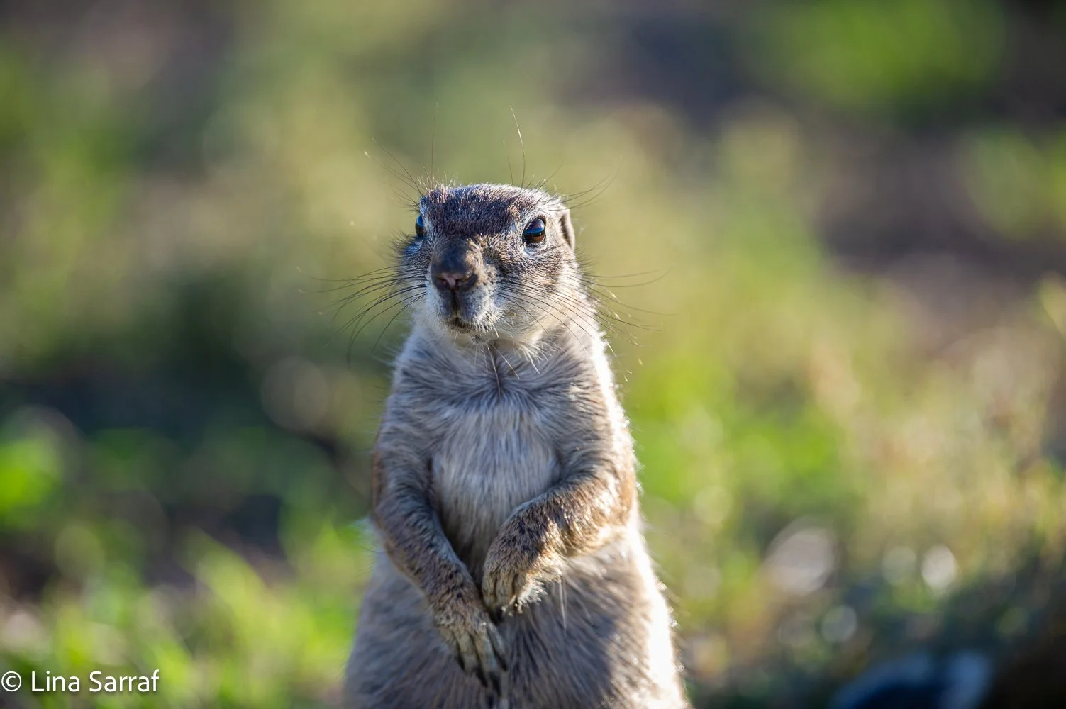  AfricaDSC_5633 25.jpg