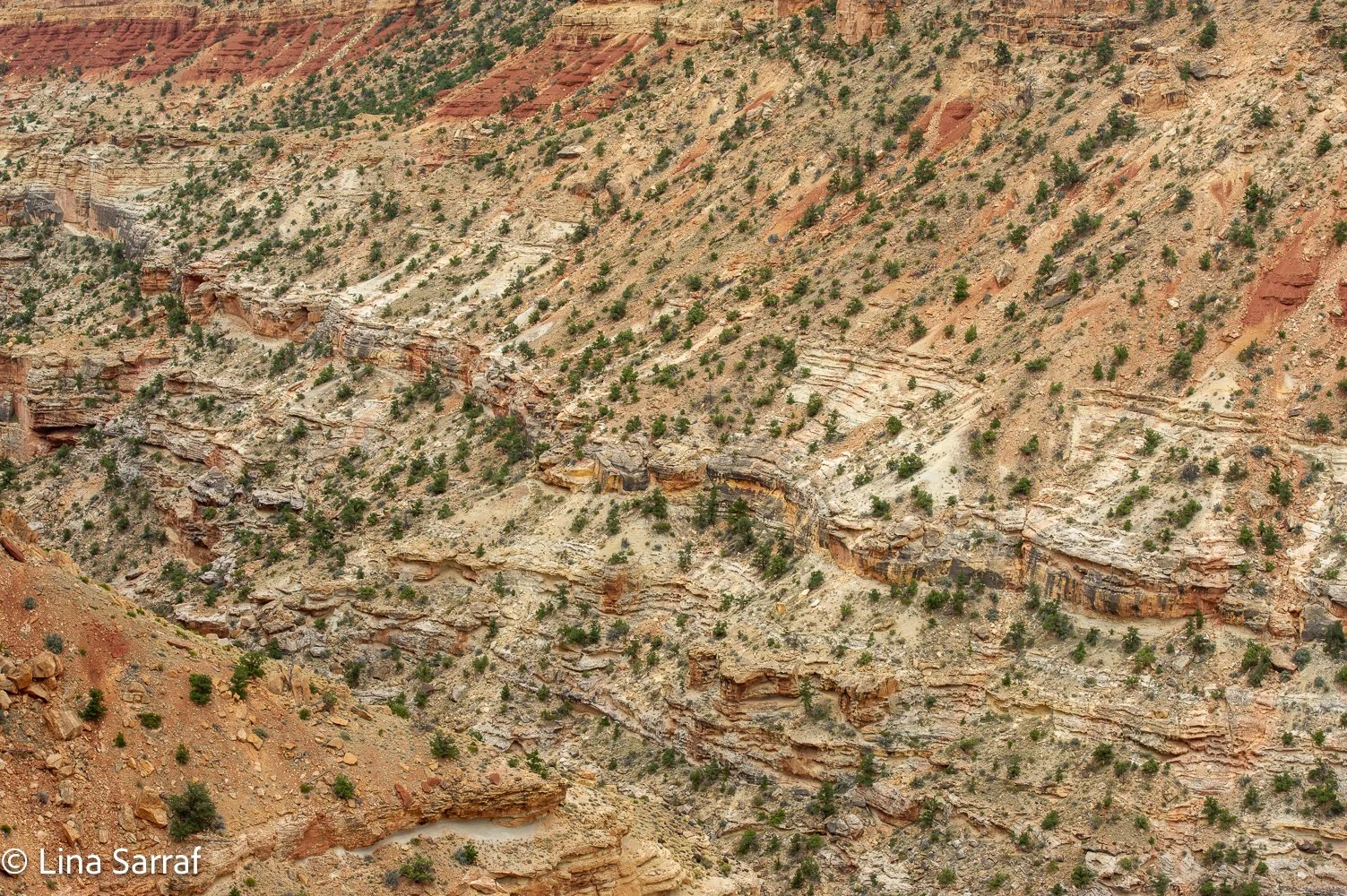  N.ParkDSC_849816.jpg