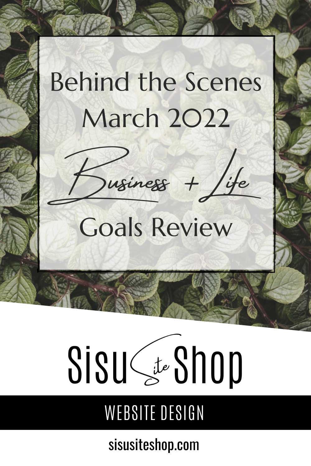 Behnind the Scenes  March 2022 Business and Life Goals Review