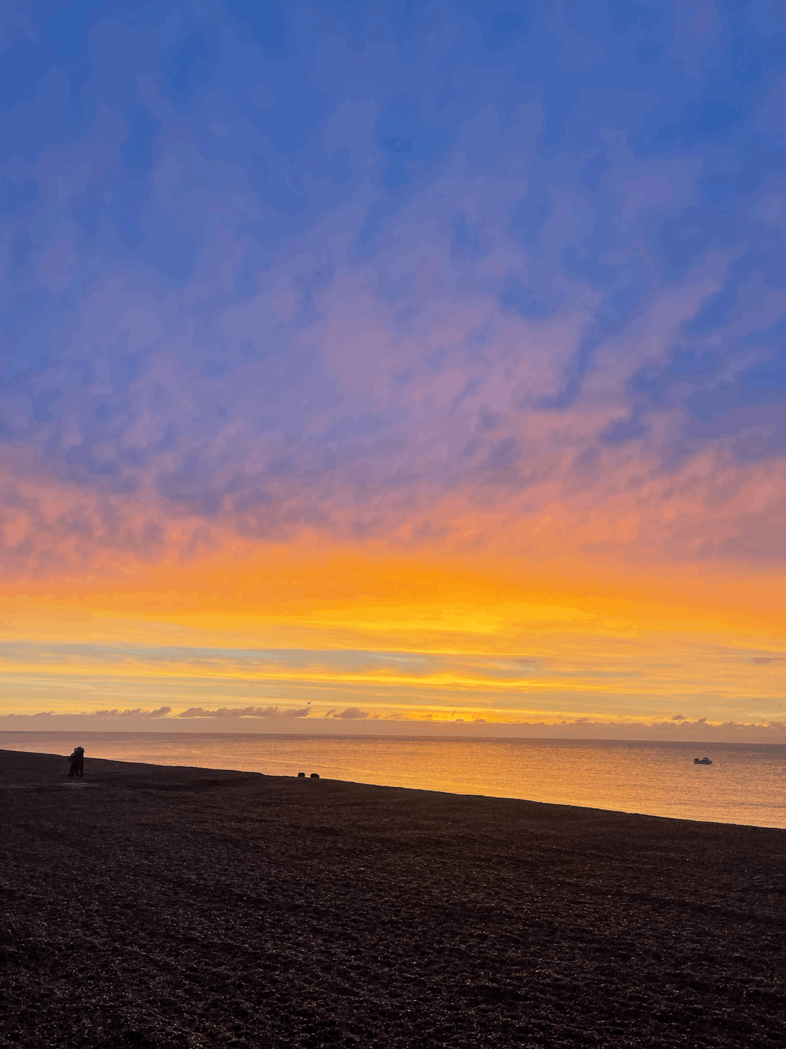 The Healing Power of the Sea: Blue Mind, Eco-Therapy, and the Ocean as a Co-Therapist