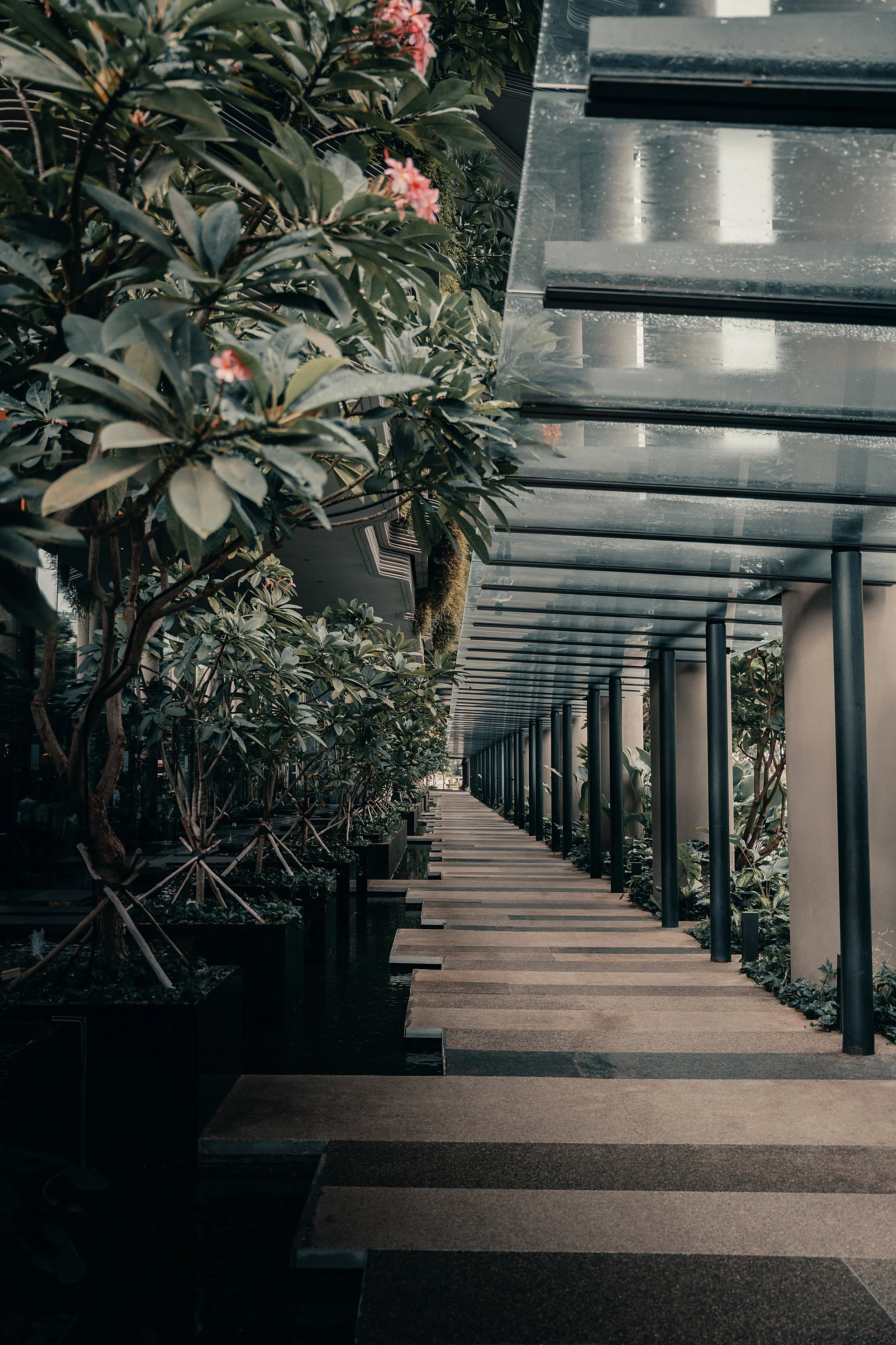 Atlas outside shoot-2 final.jpg