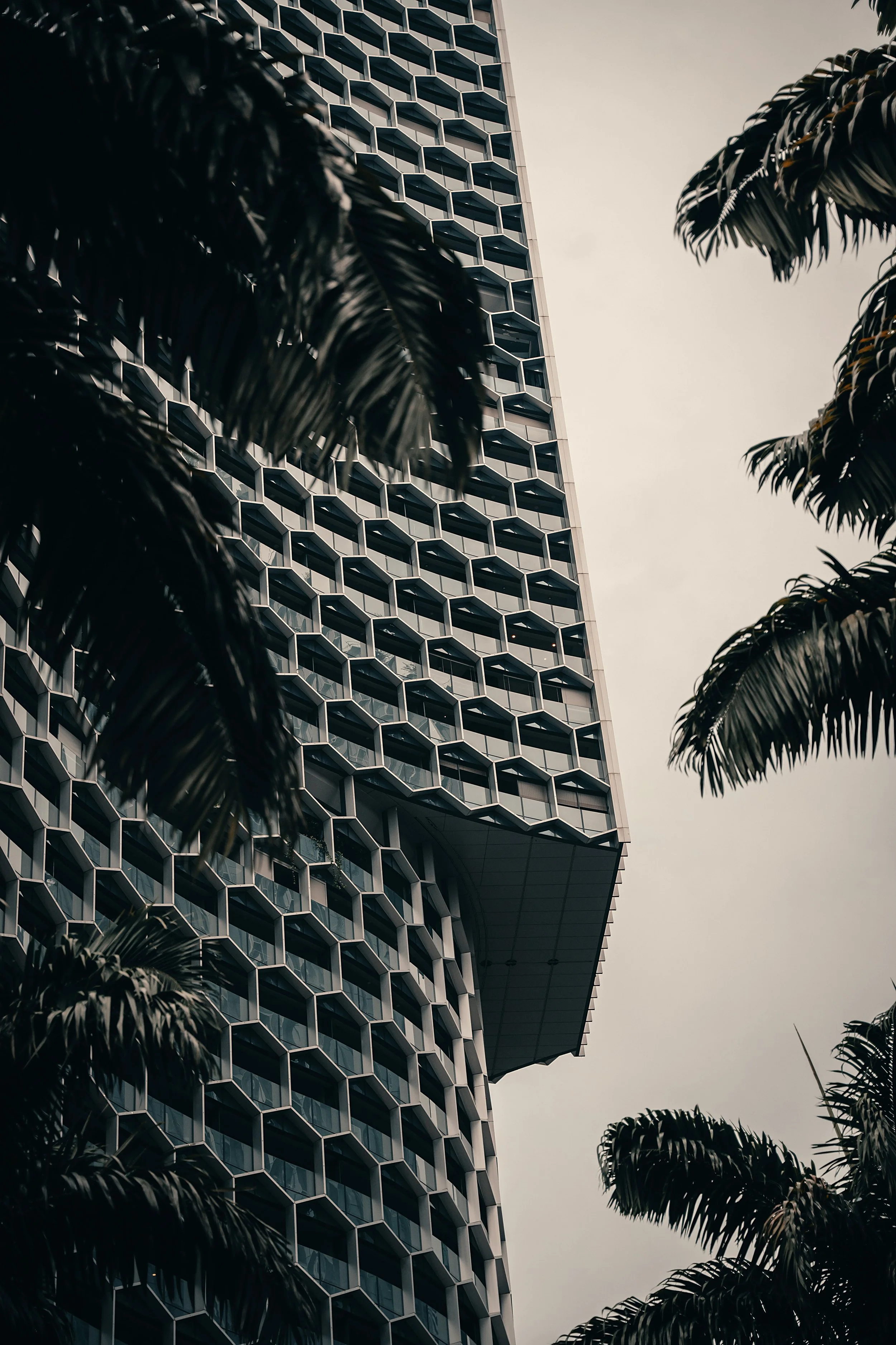 Atlas outside shoot-5 final.jpg