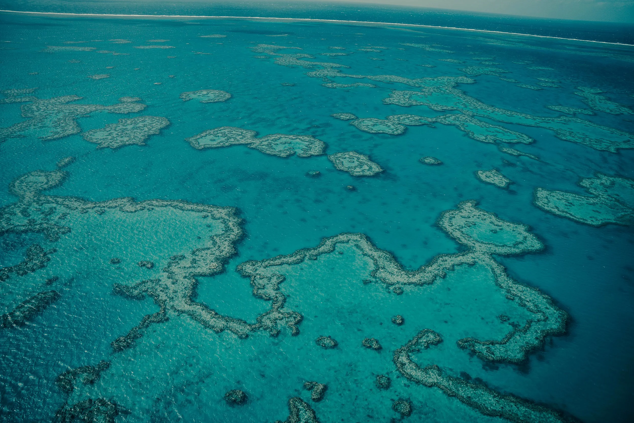 flight tour-2 final.jpg