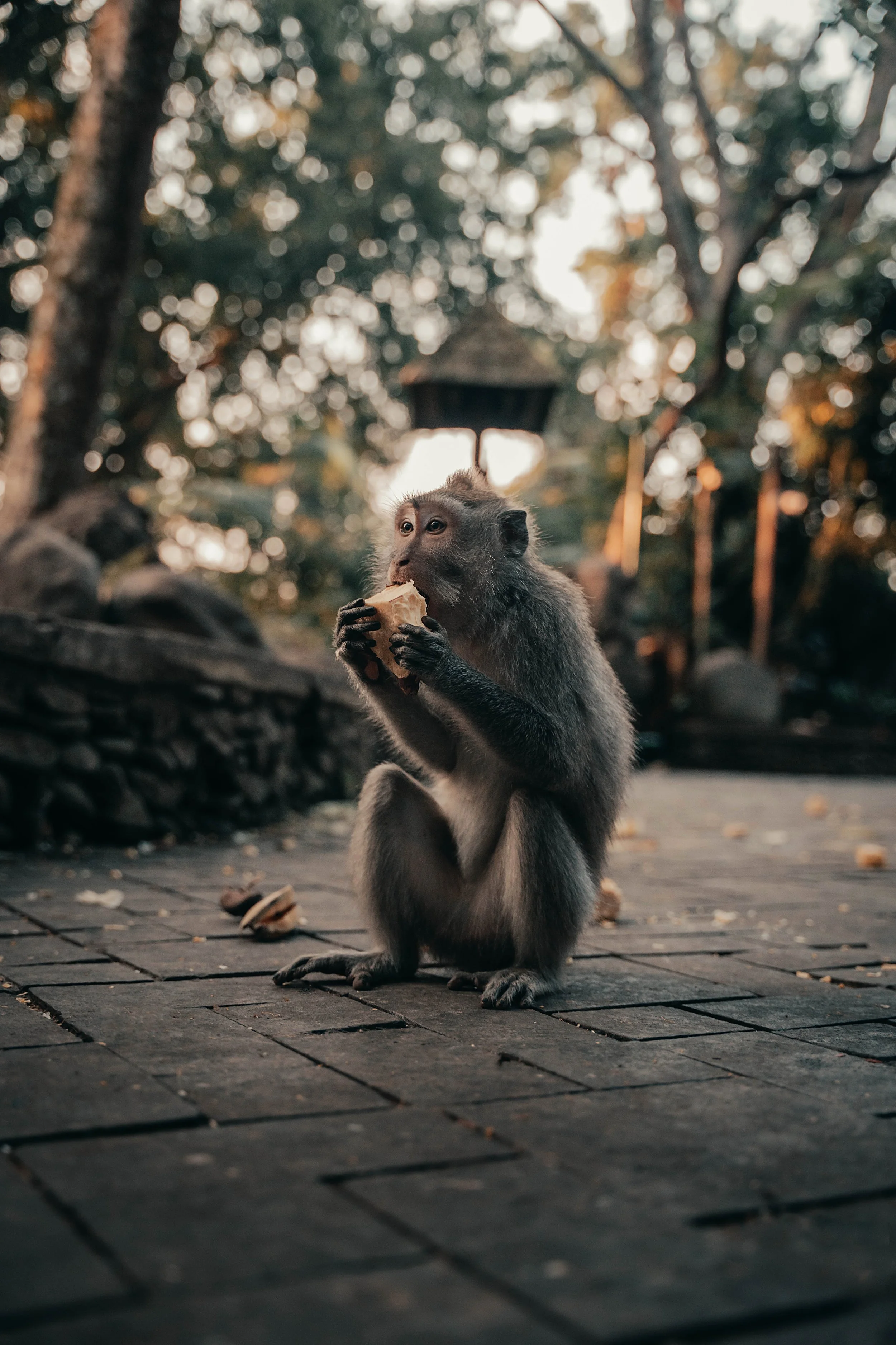 Bali hidden stories Day 1-30 final.jpg