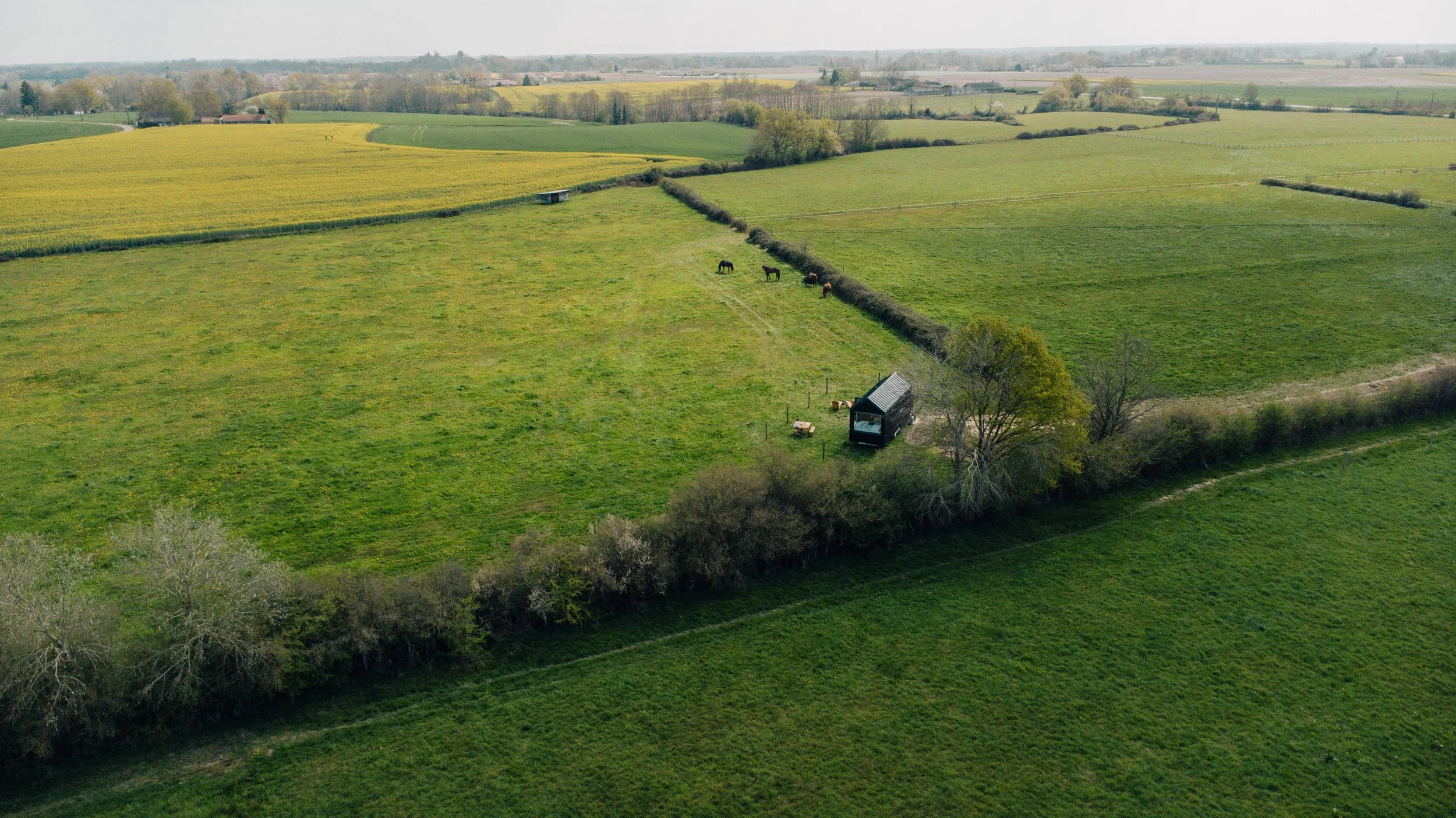 Drone_shot_Romann_4.jpg