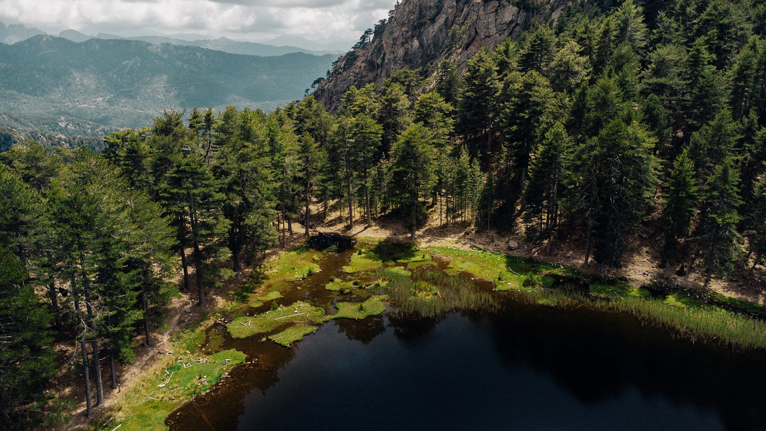 drone shot final.jpg