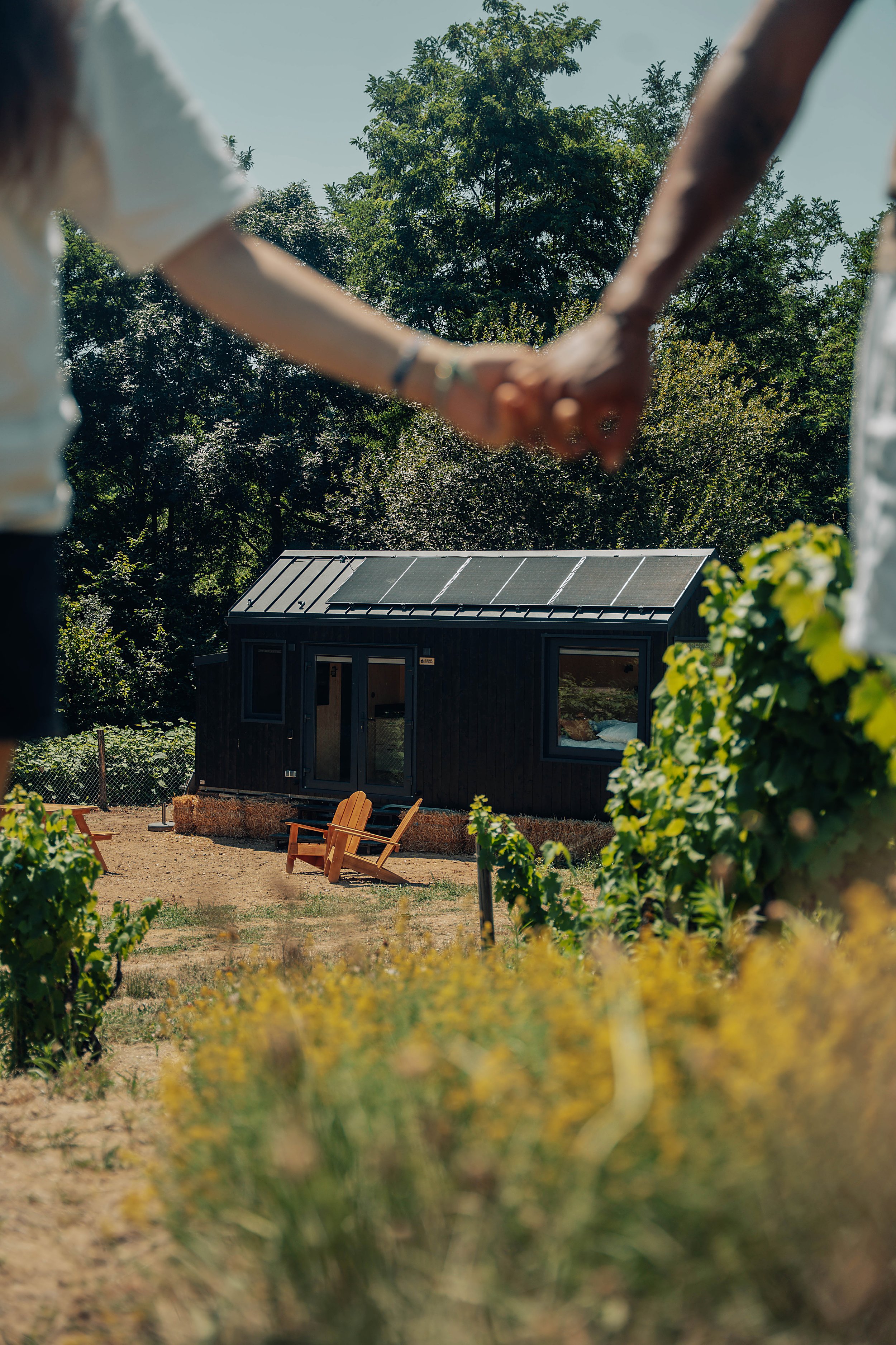 parcel_tiny_house_sallerin_29.jpg