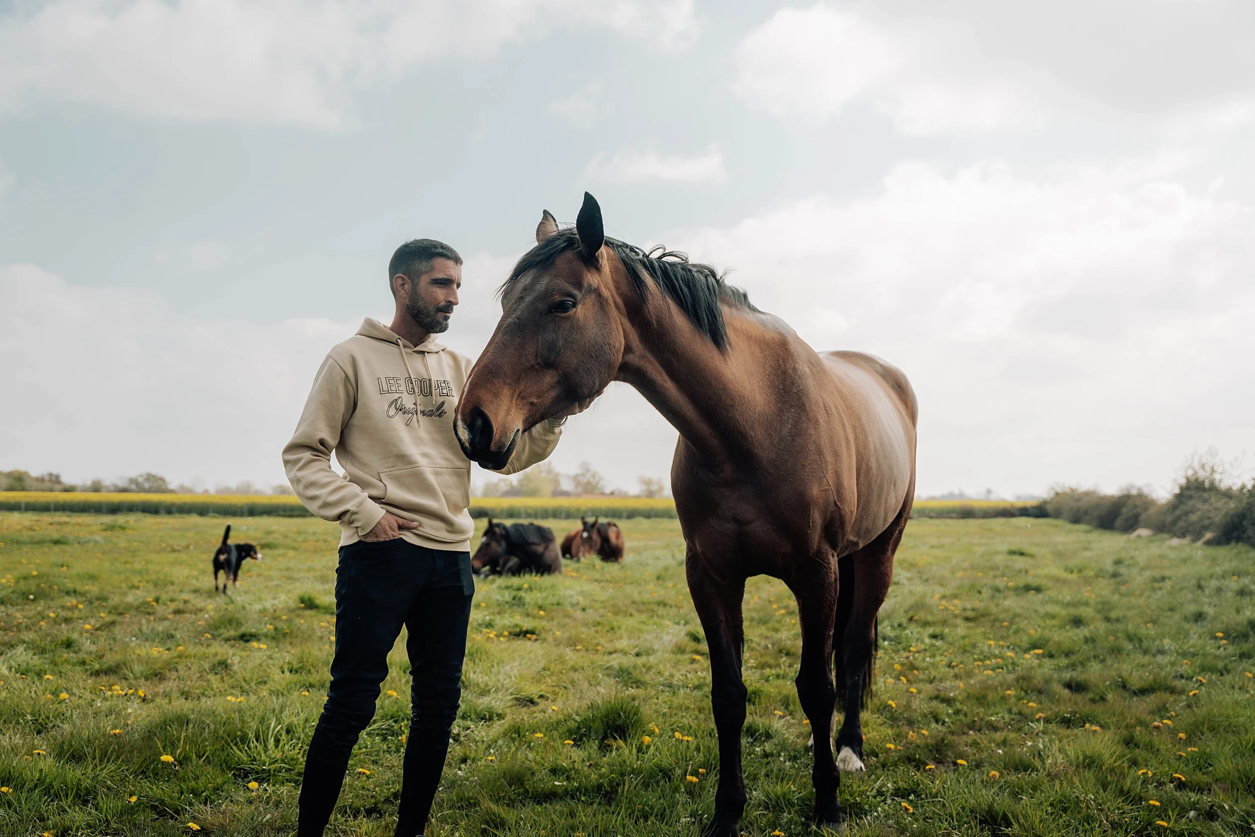 agriculteur_cheval_Romann_3.jpg