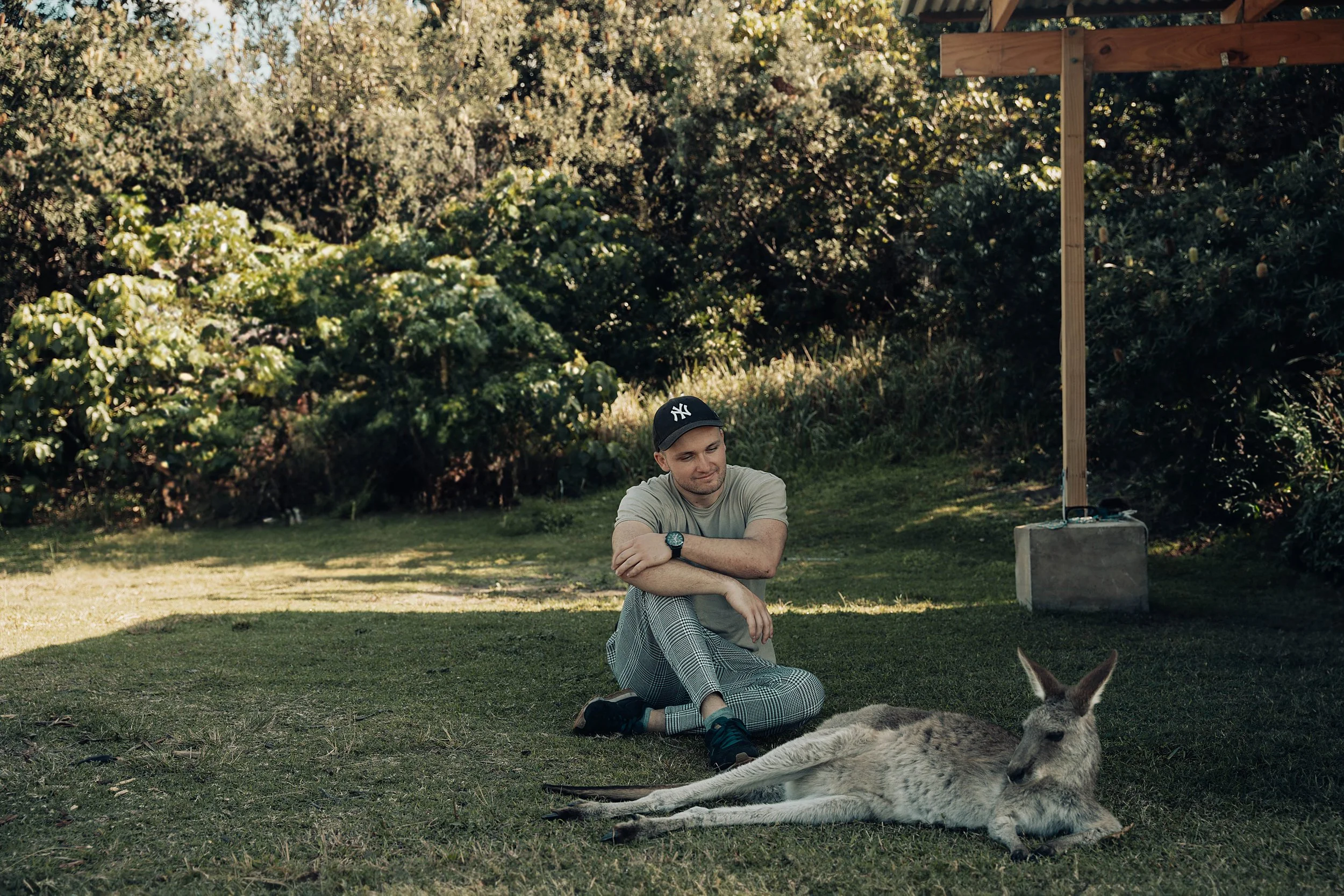 story kangourou final après IA.jpg