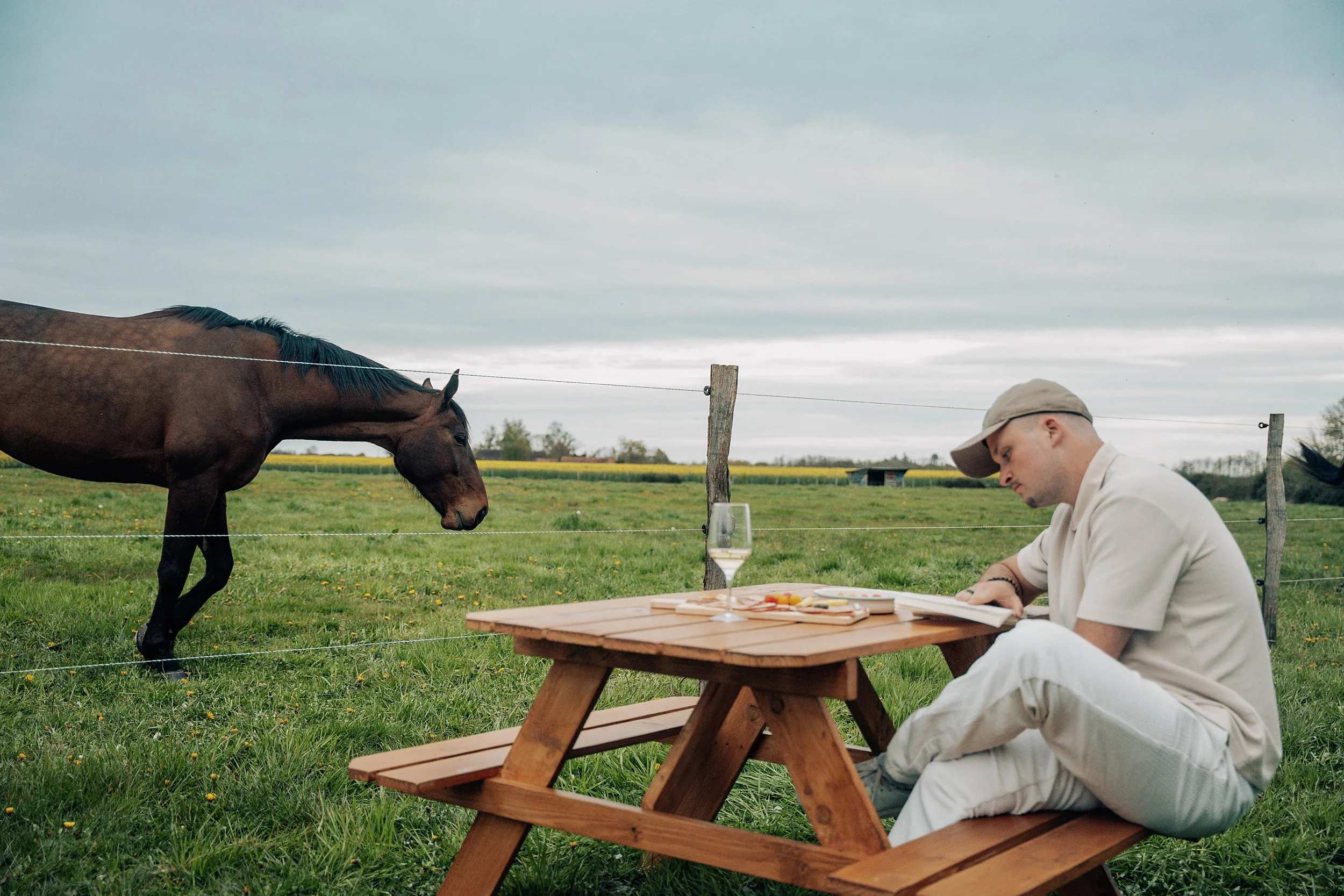 apero_chevaux_Romann_3.jpg