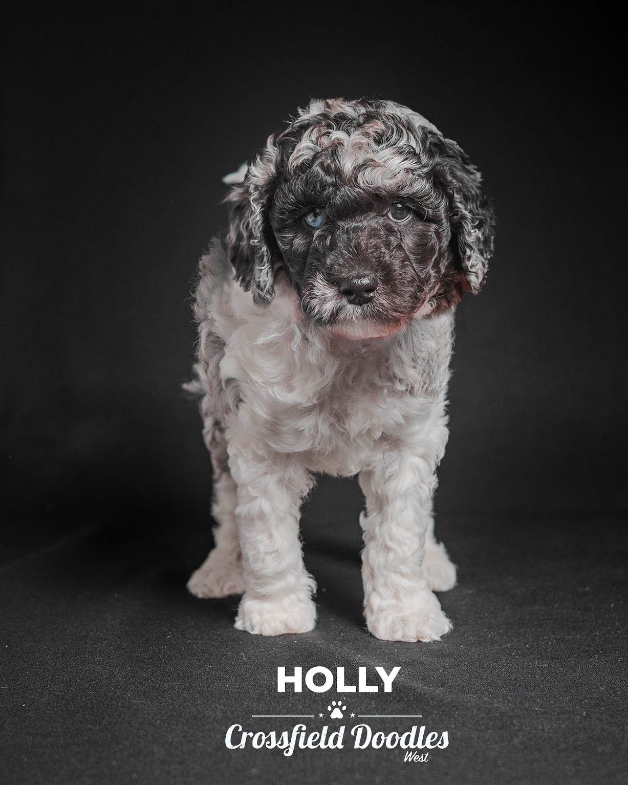 Holly wk7.jpg