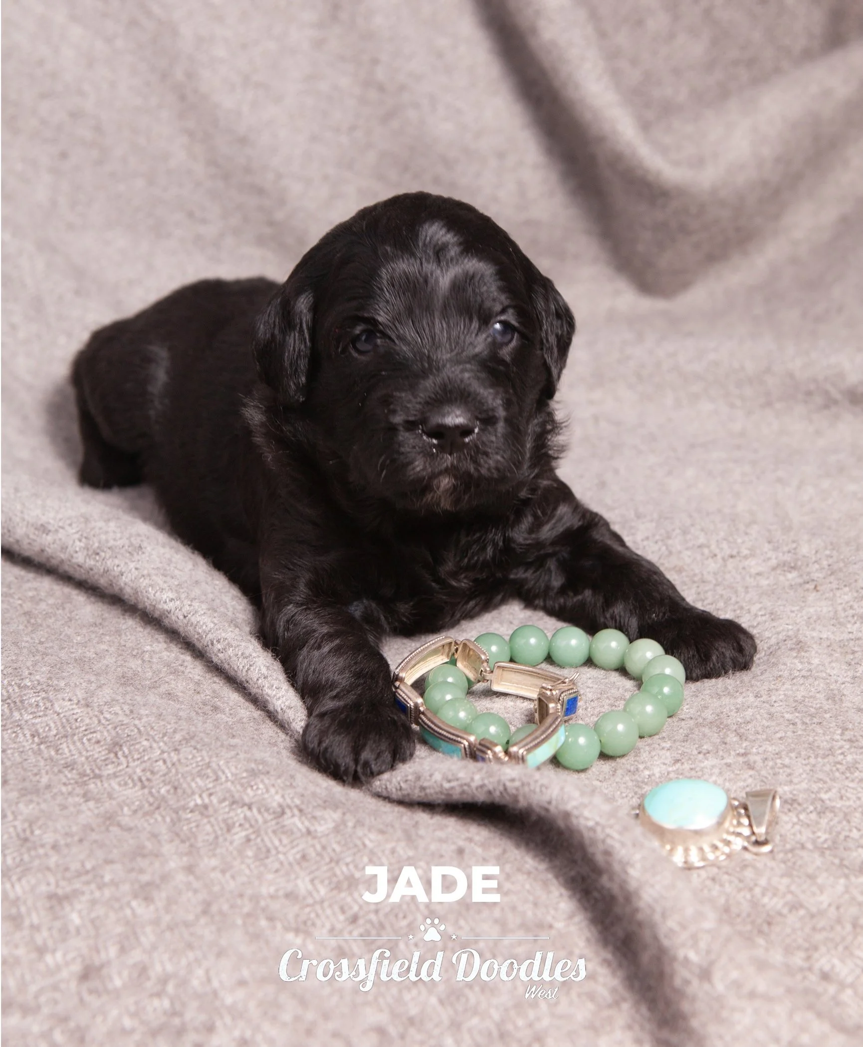 Week3_Jade.jpg