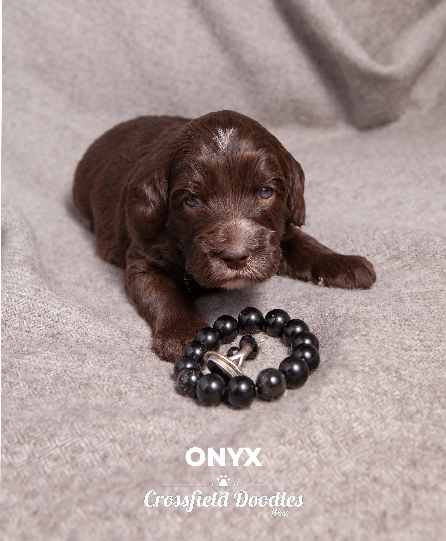 Week3_Onyx.jpg