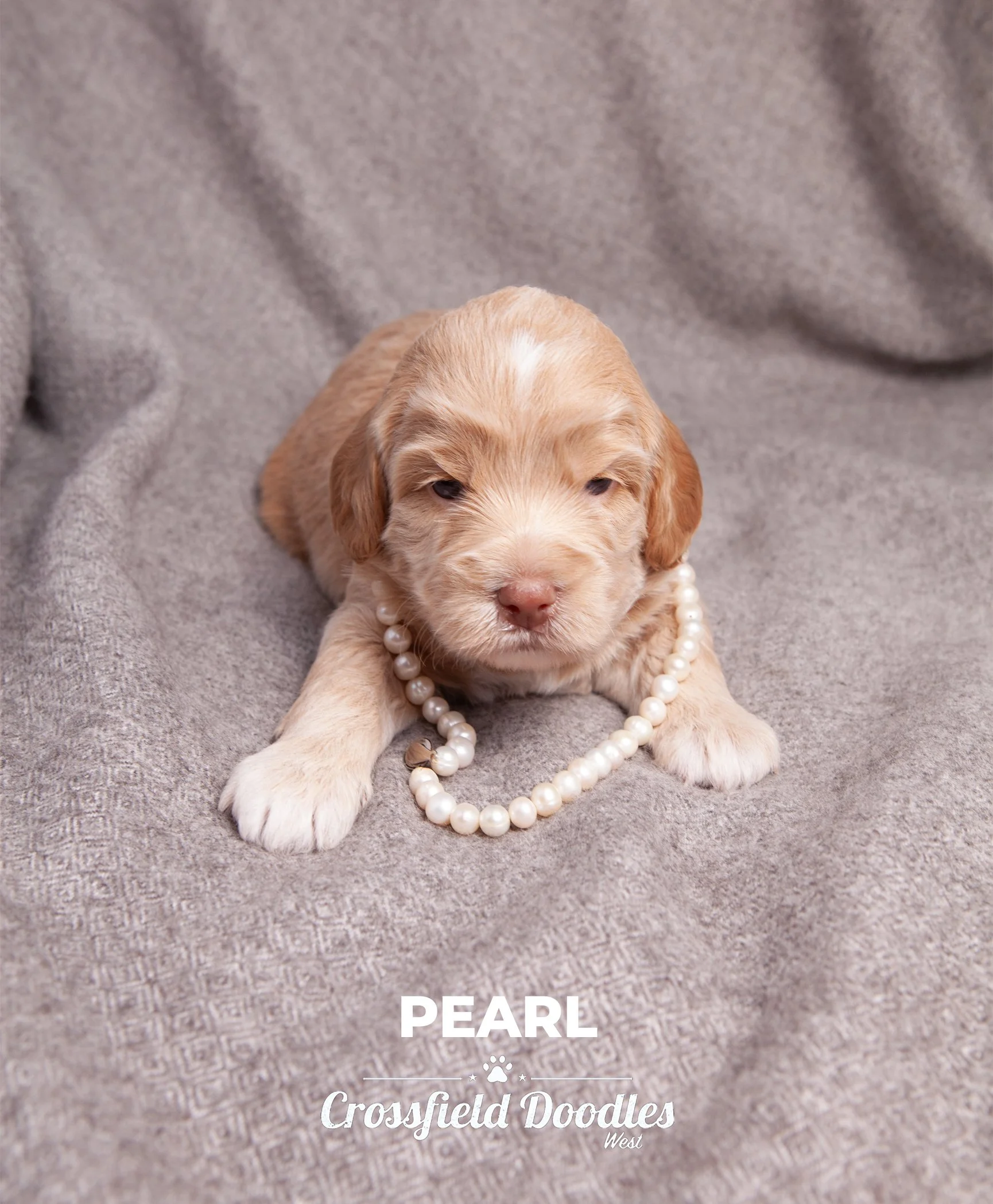Week3_Pearl.jpg