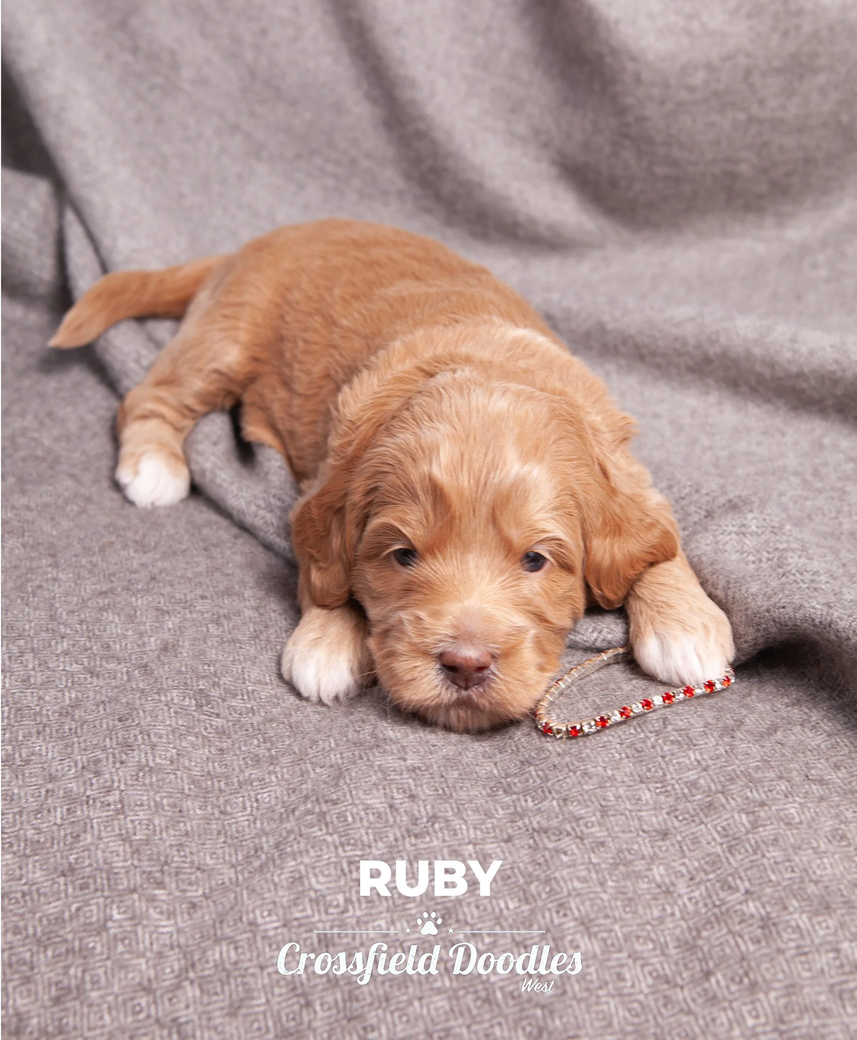 Week3_Ruby.jpg