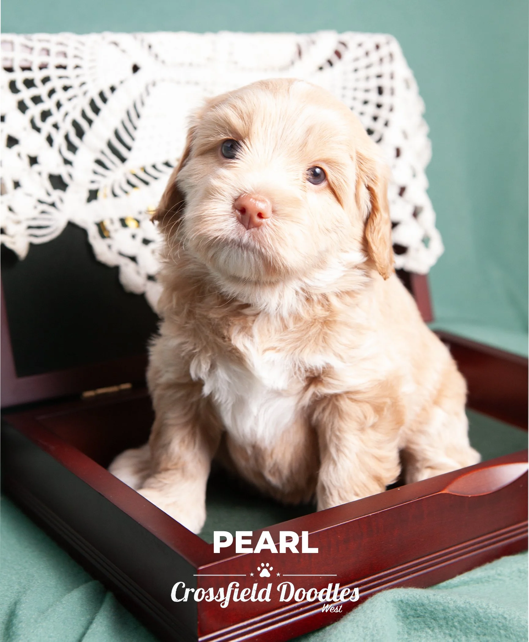 Pearl_week5.jpg
