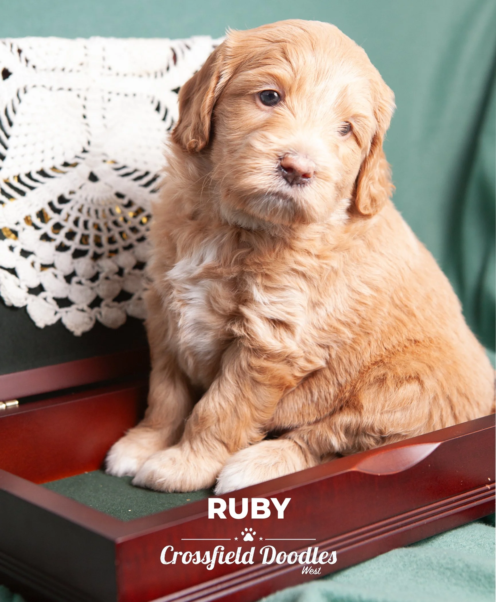 Ruby_week5.jpg