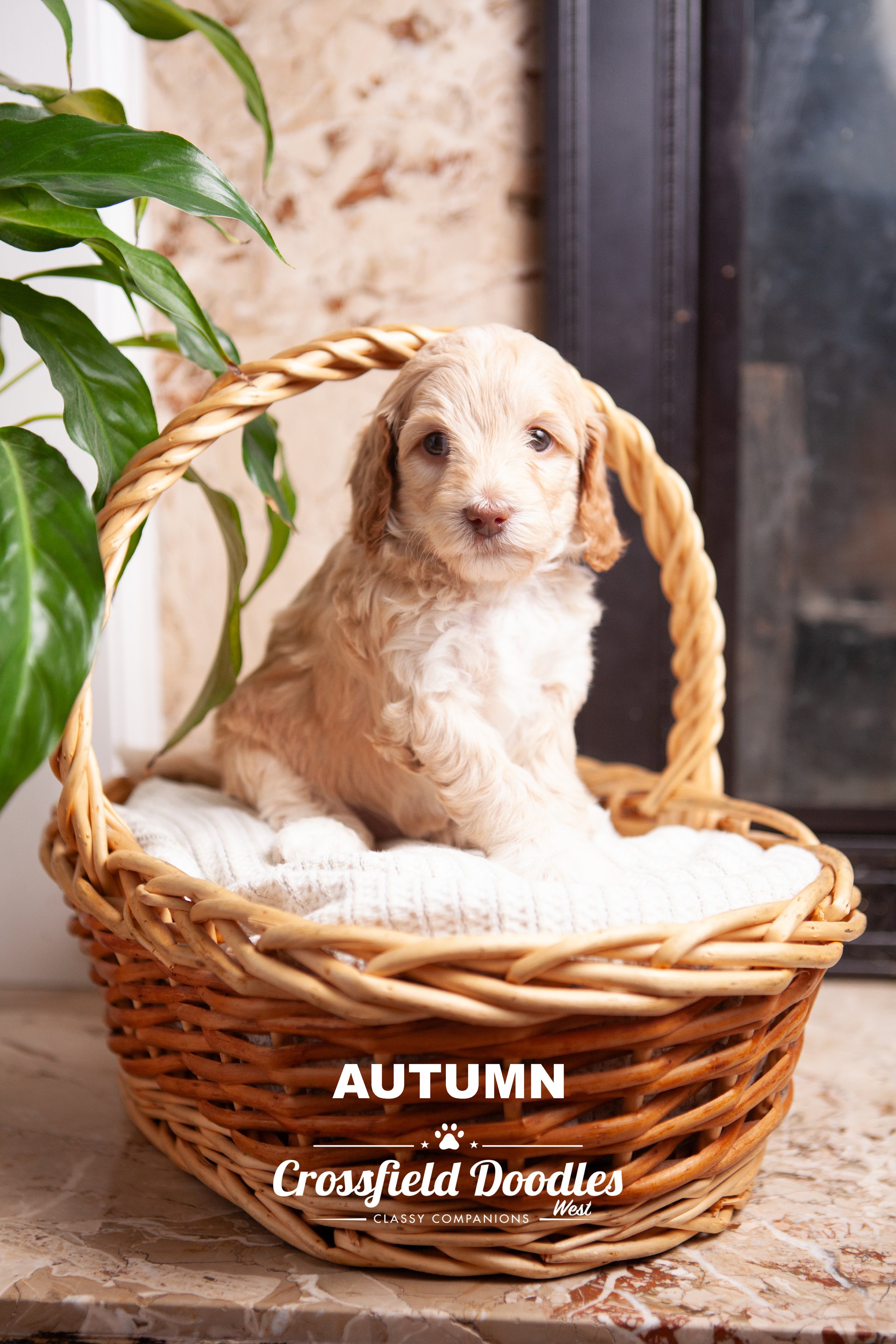 Autumn_Week5.jpg