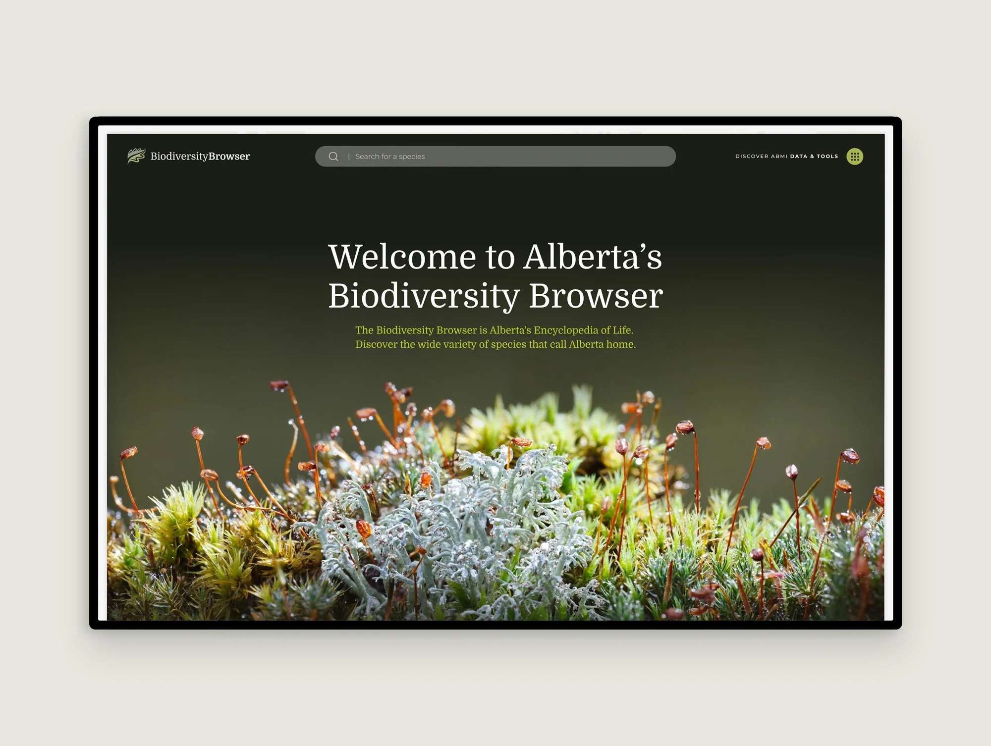 Making complex scientific data accessible