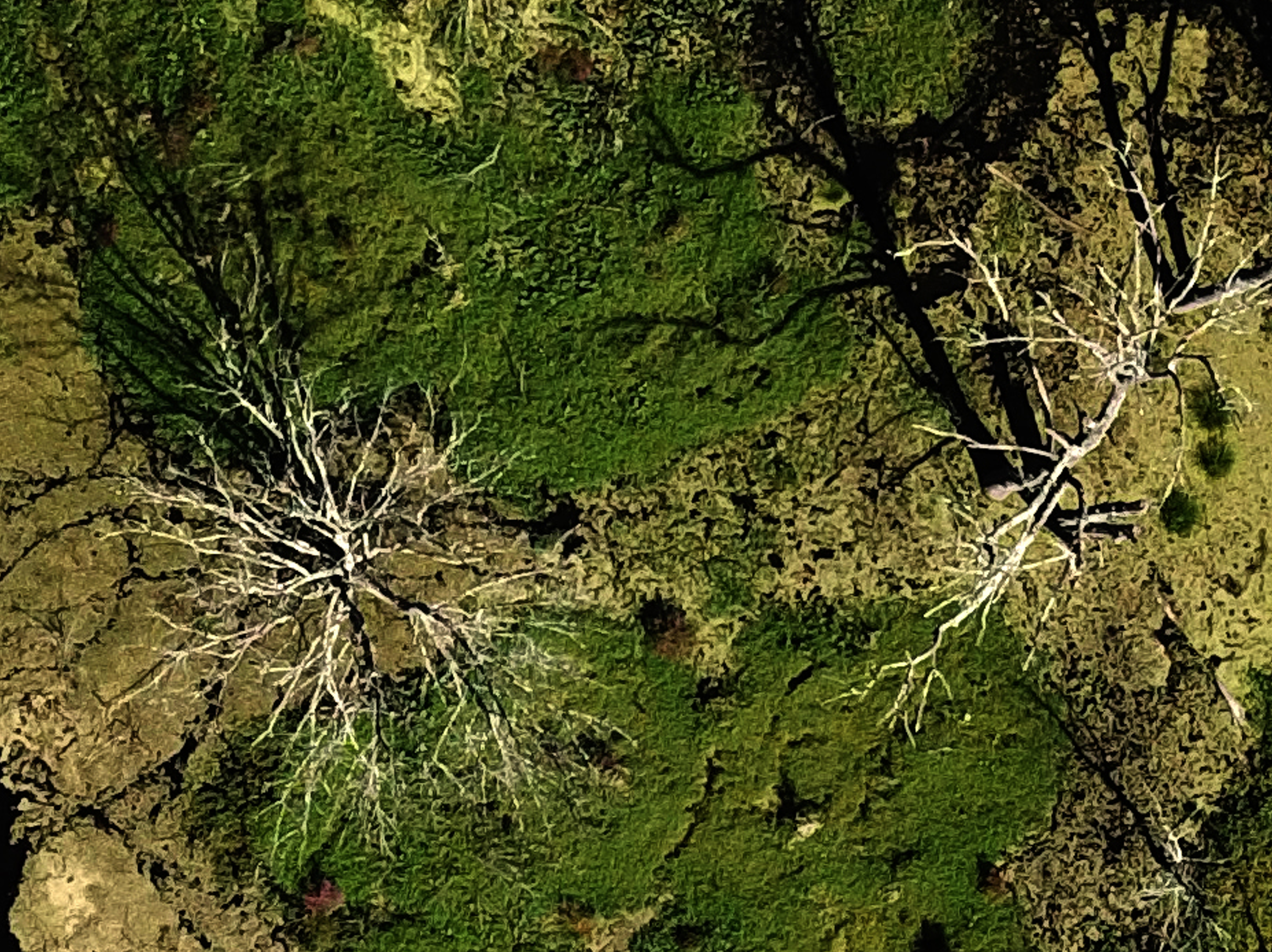 Detail 4.png