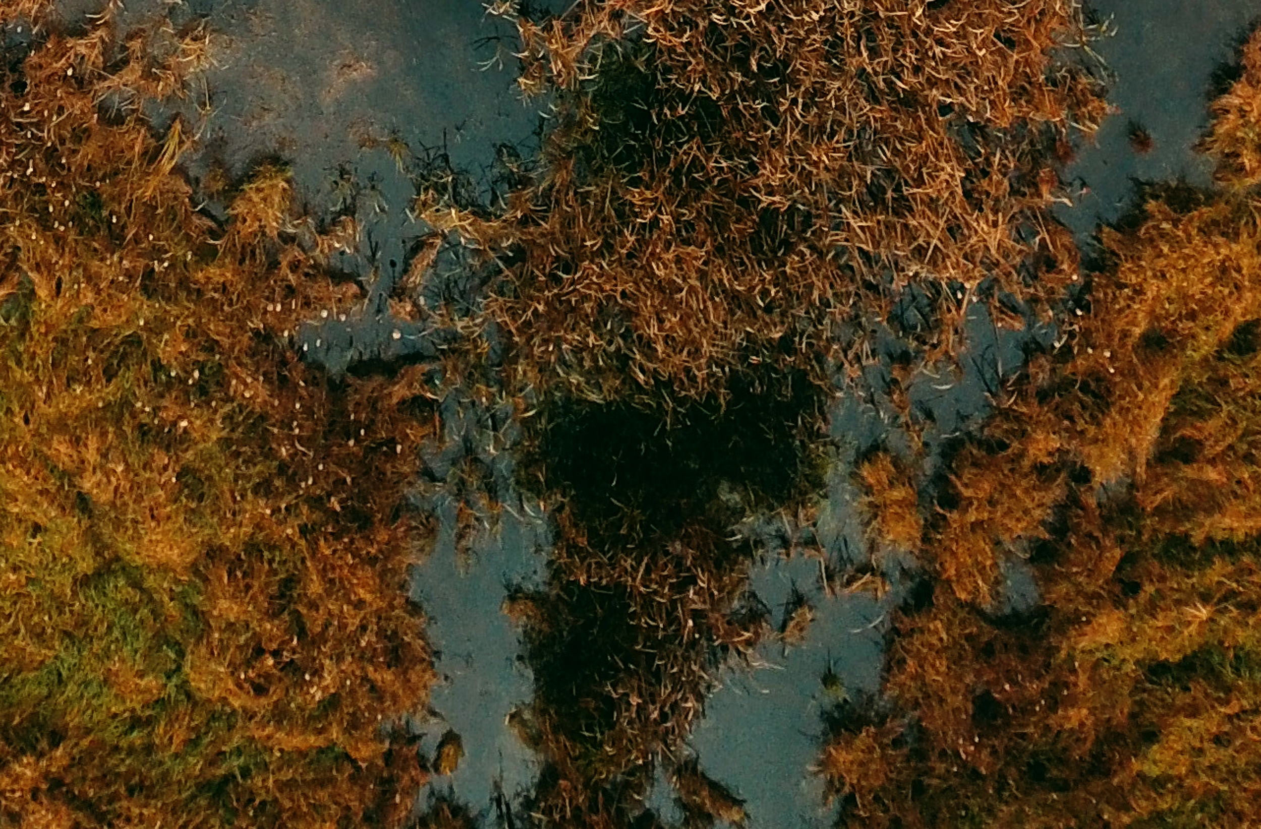 Autumn Hudson D 4.png