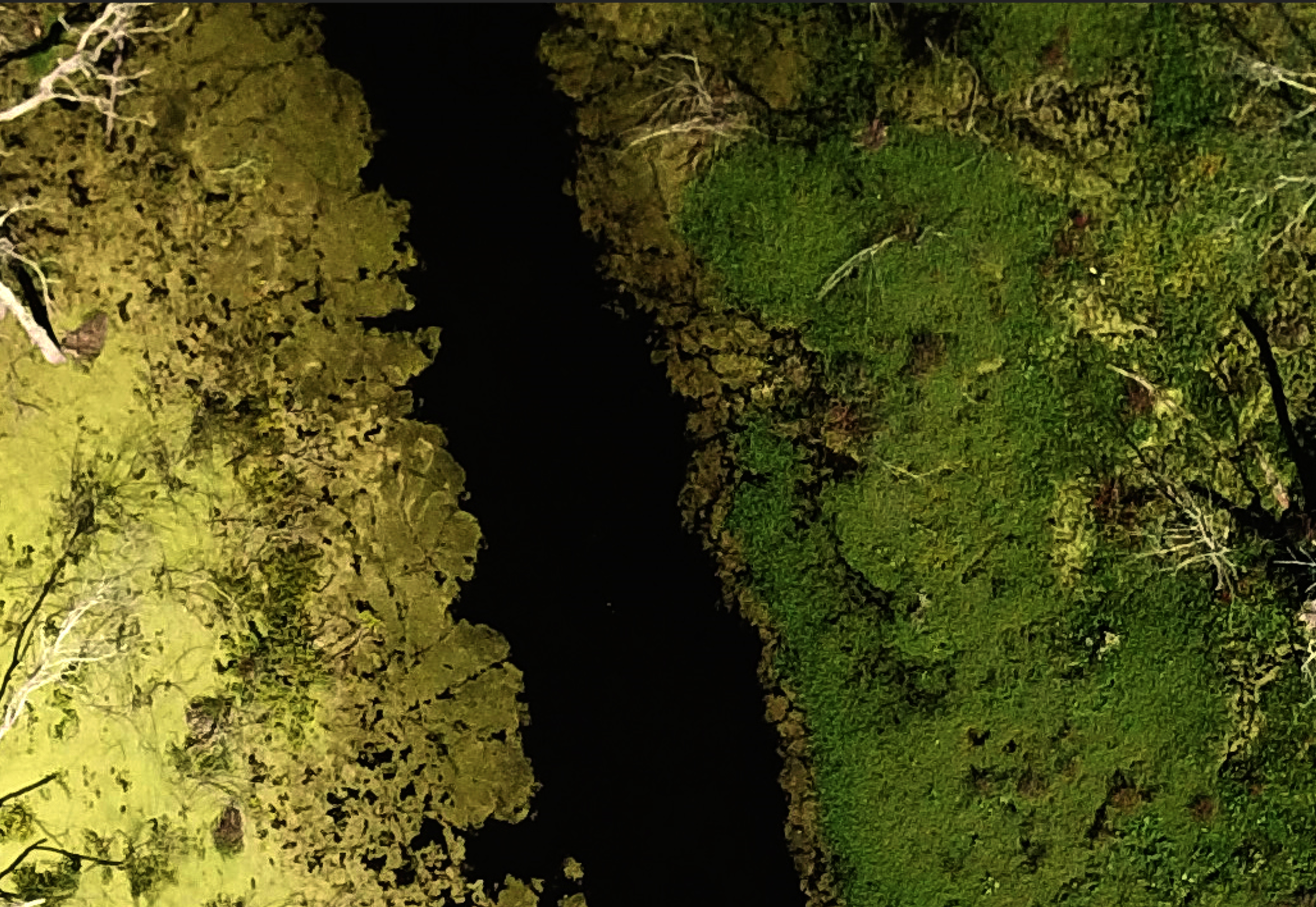 Detail 3.png