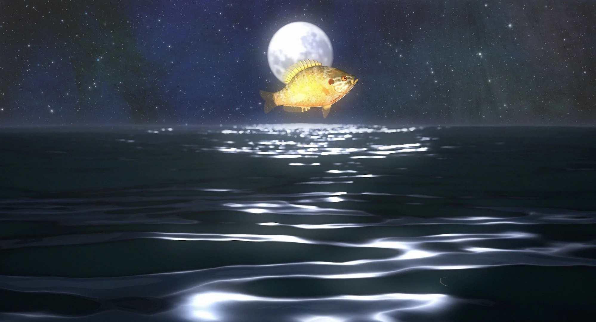 AFAAB_still_moonJump.jpg