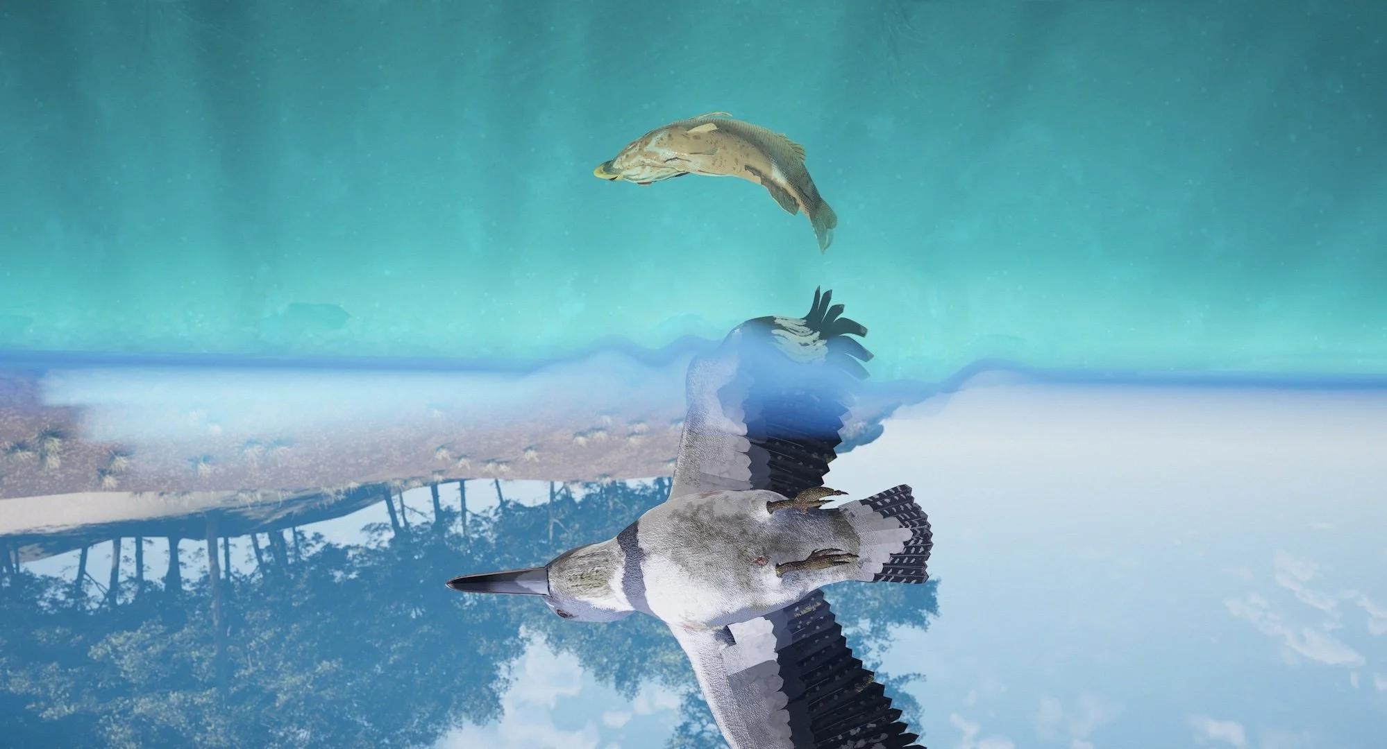 AFAAB_still_upsideDown.jpg
