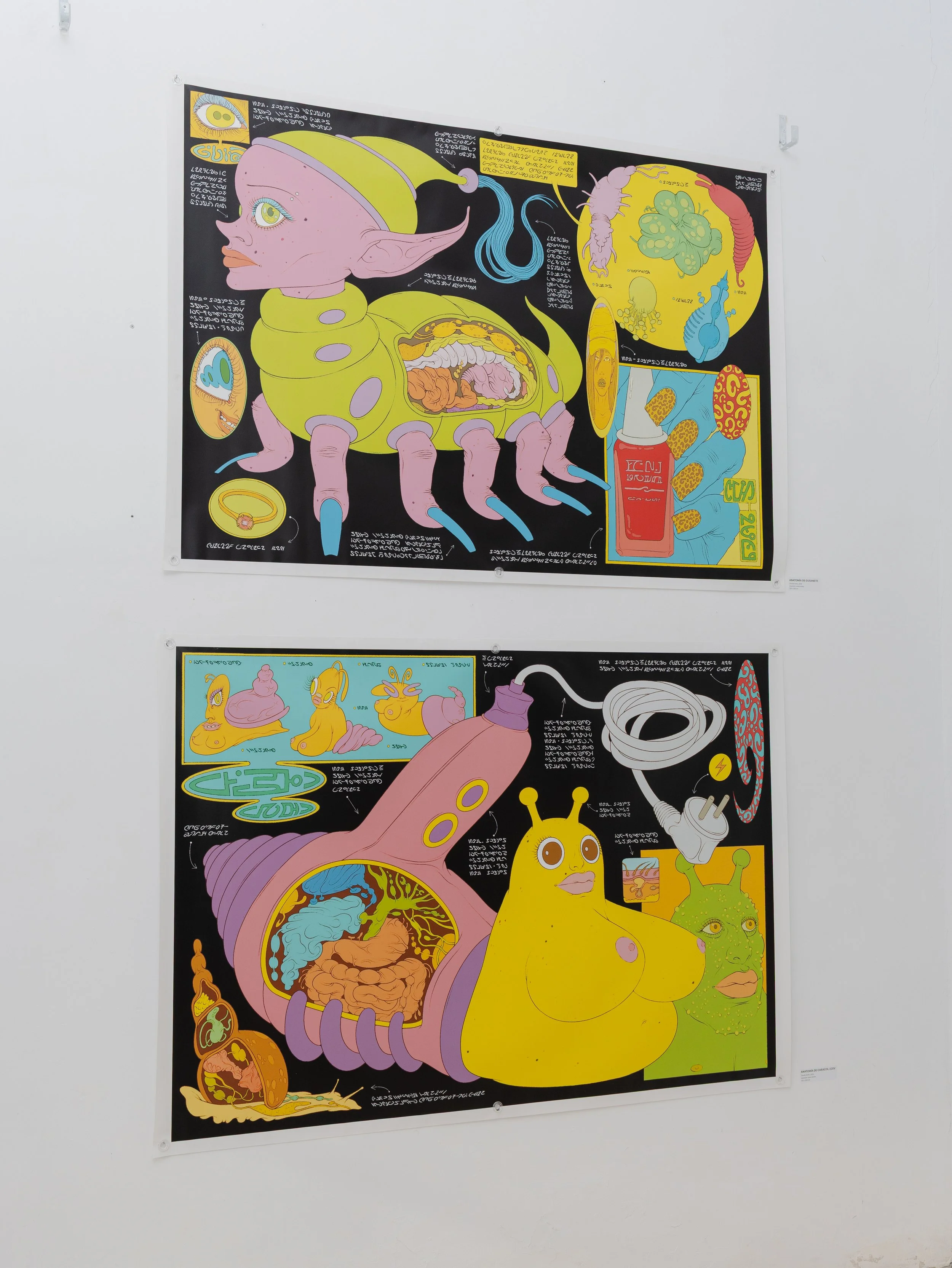 Copia de CharliSmits00023.JPG