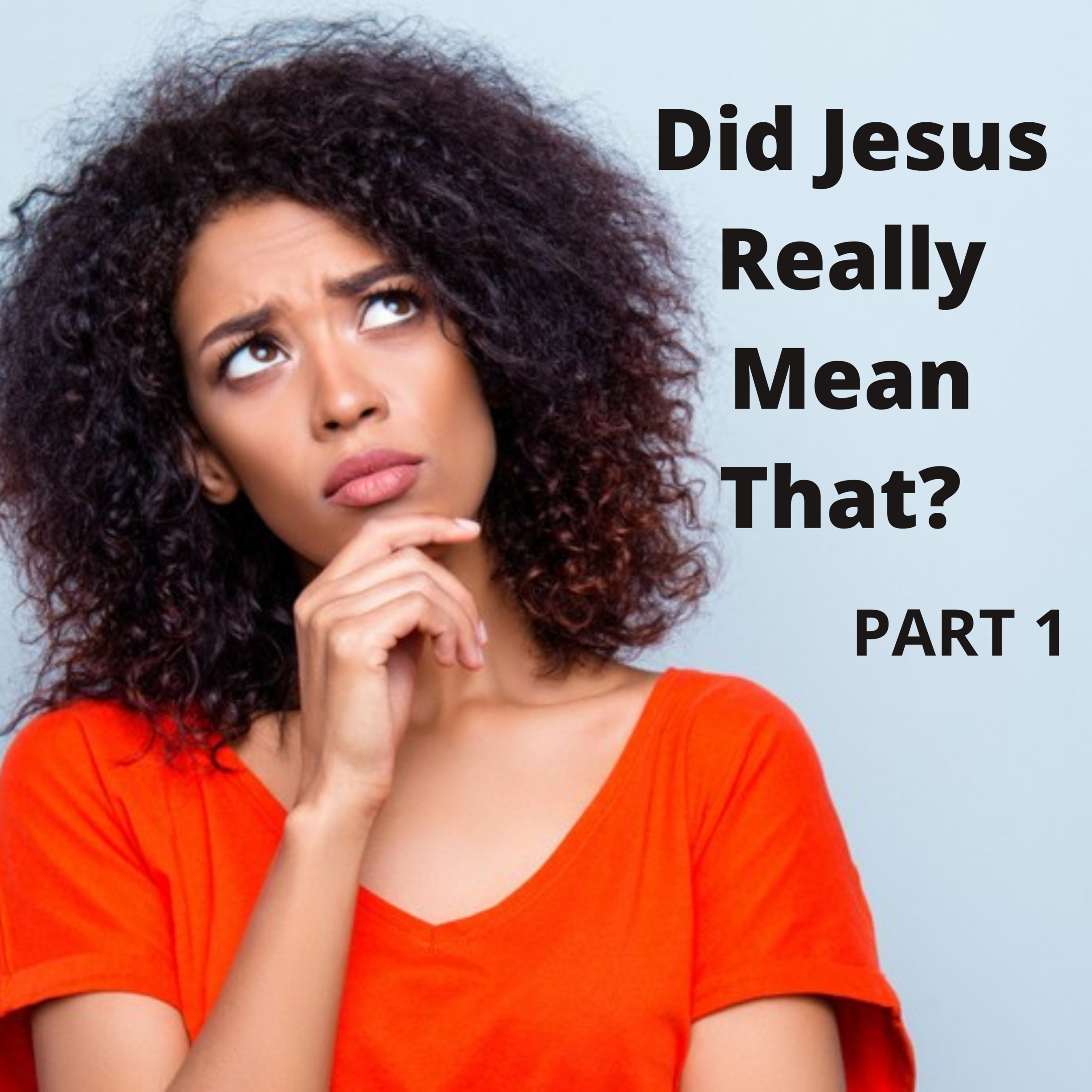 Did Jesus Really Mean That part 1