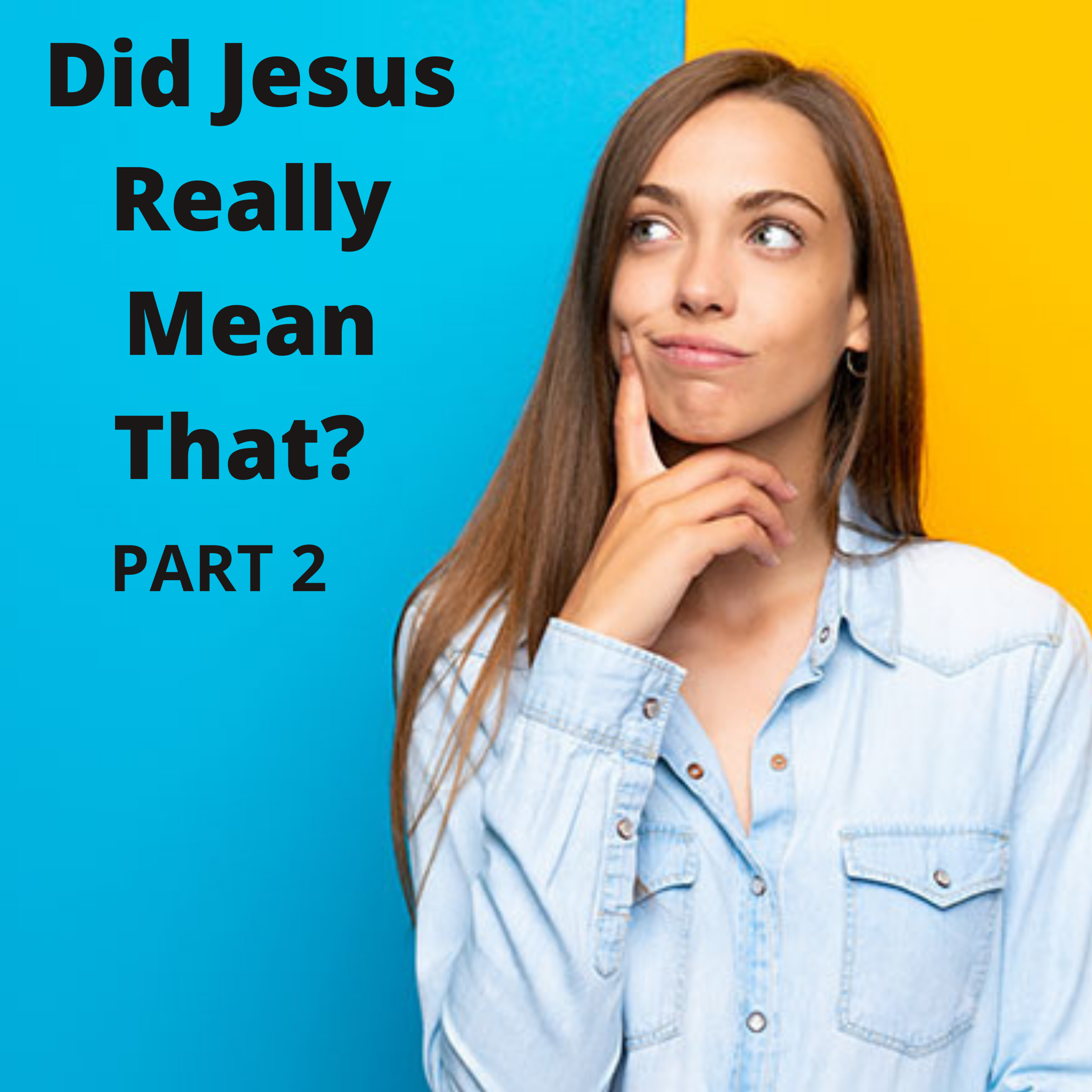 Did Jesus Really Mean That part 2