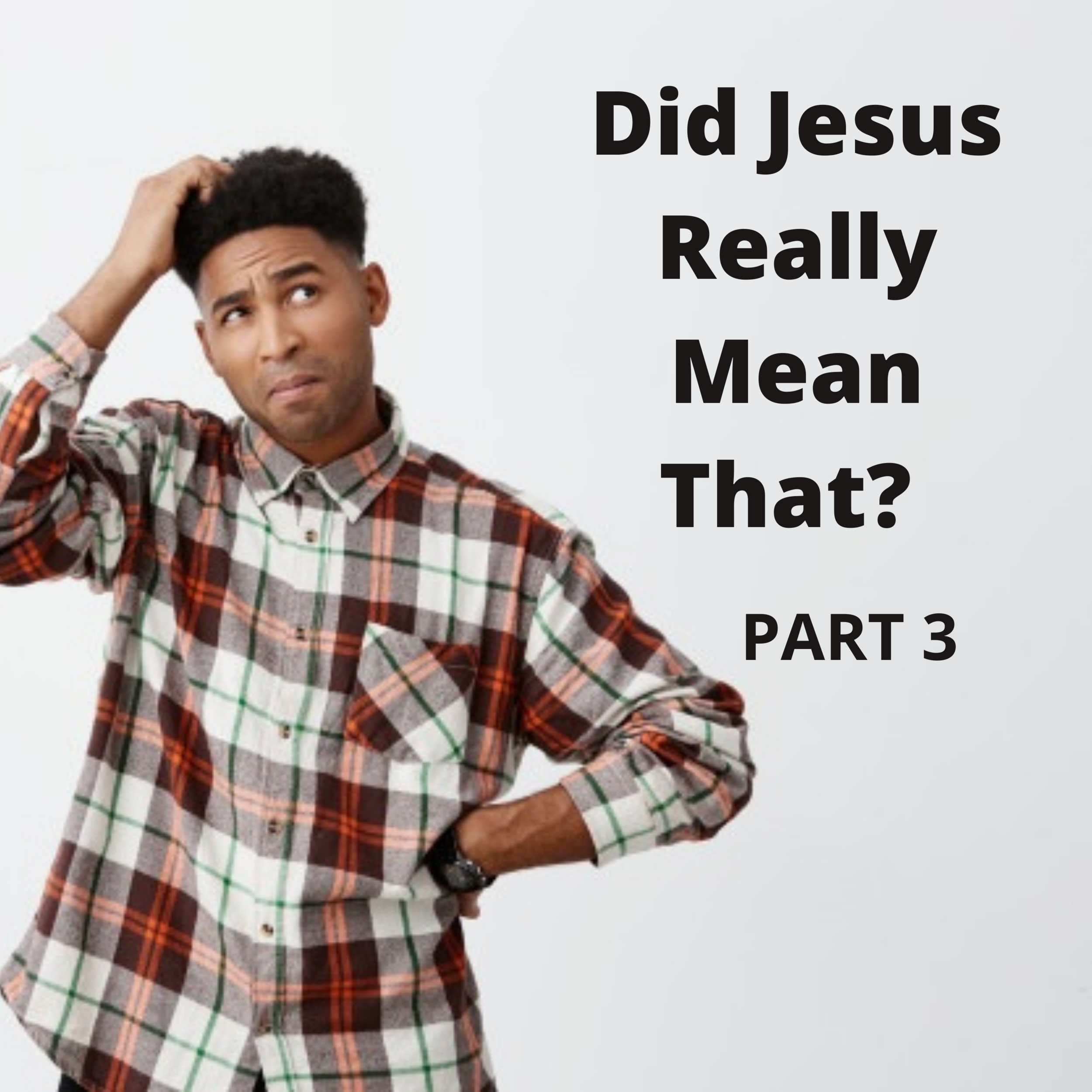 DiD Jesus Really Mean That part 3